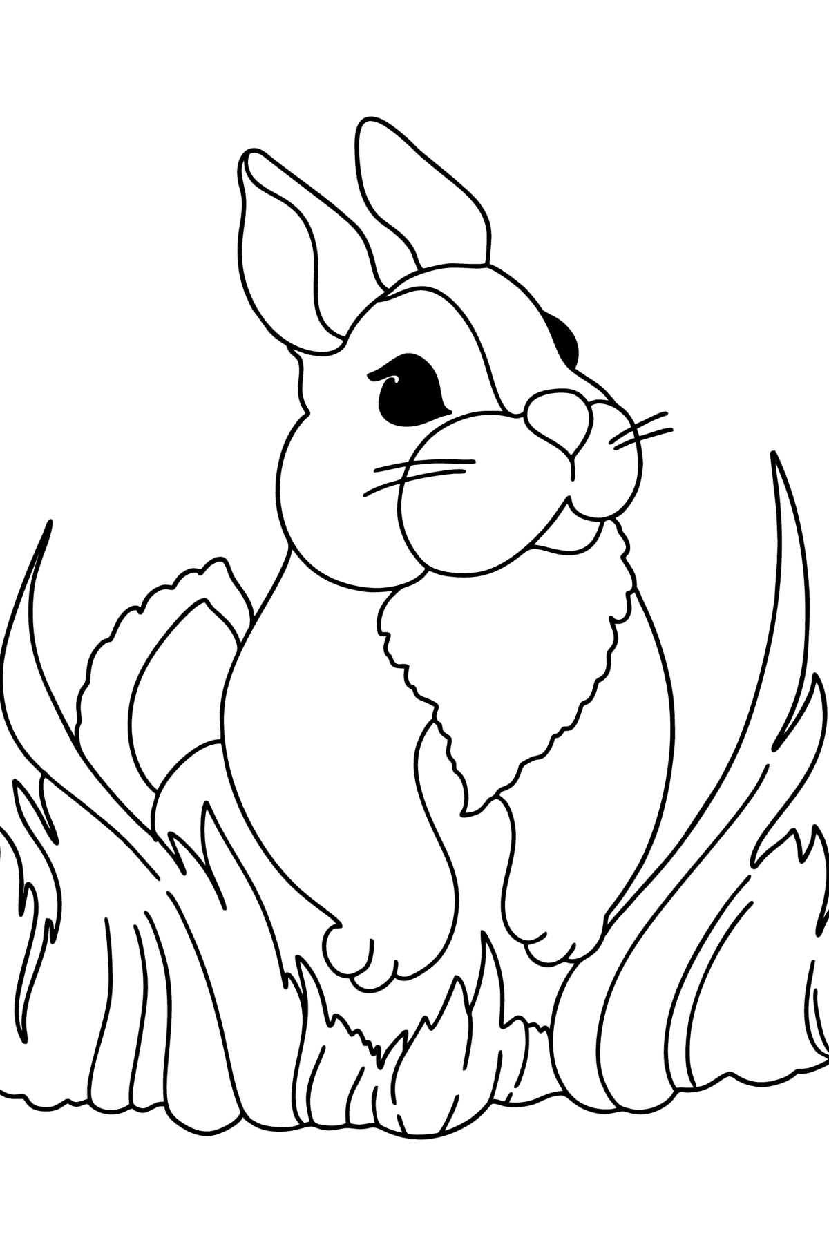 Tegning til farvning fluffy kanin - Tegninger til farvelægning for børn