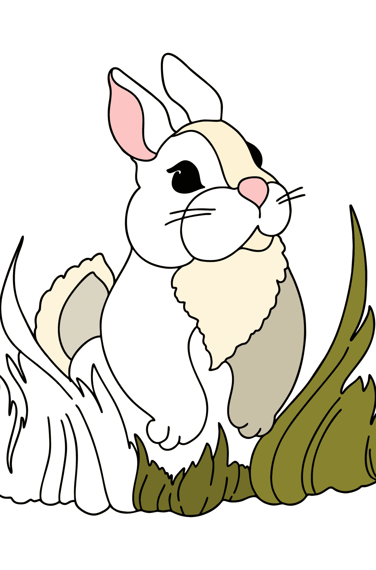 Tegning til farvning fluffy kanin - Tegninger til farvelægning for børn