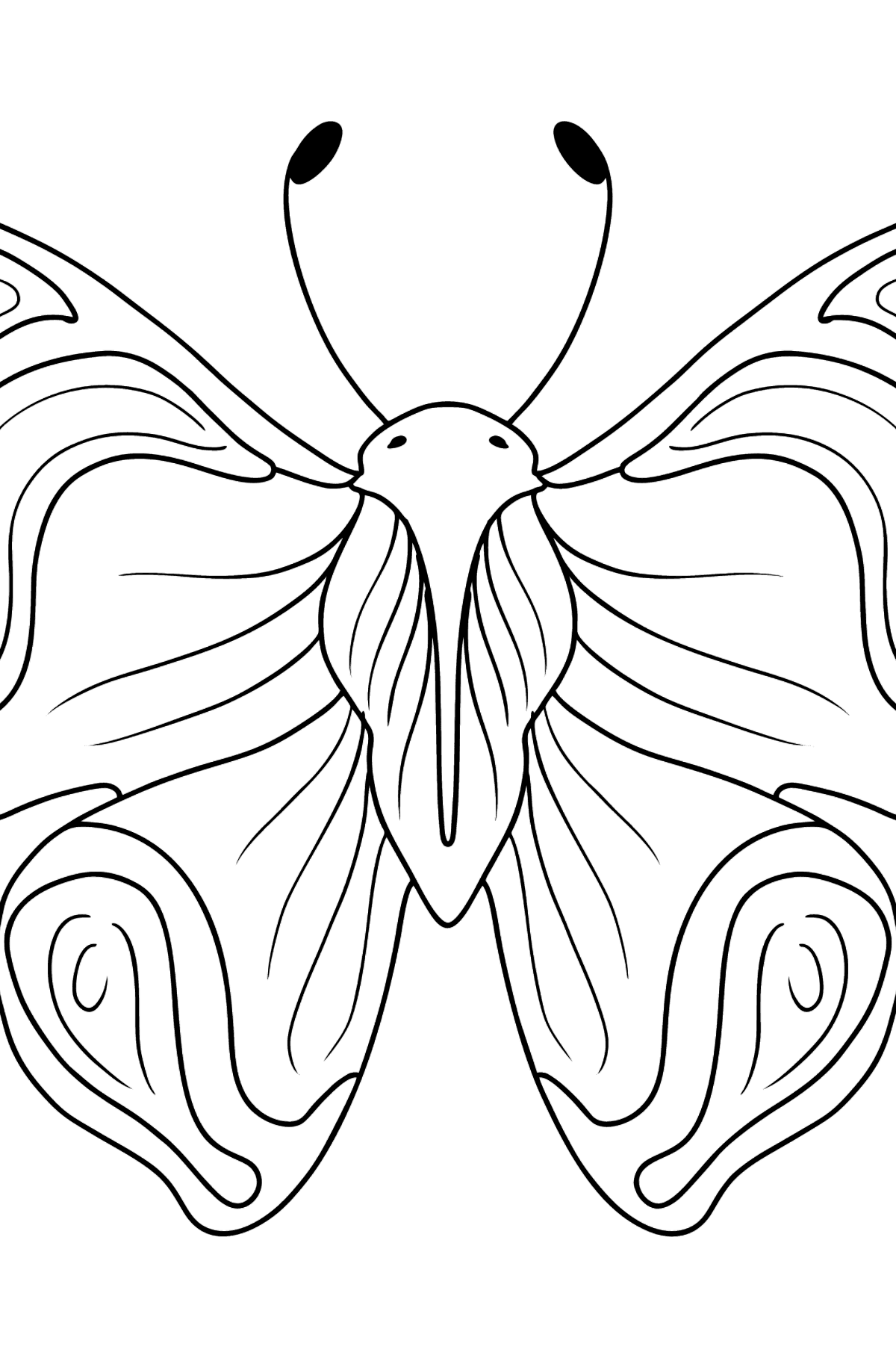 Desen de colorat fluture amiral - Desene de colorat pentru copii