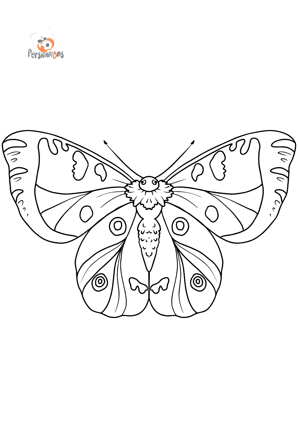 Бабочка Аполлон раскраска