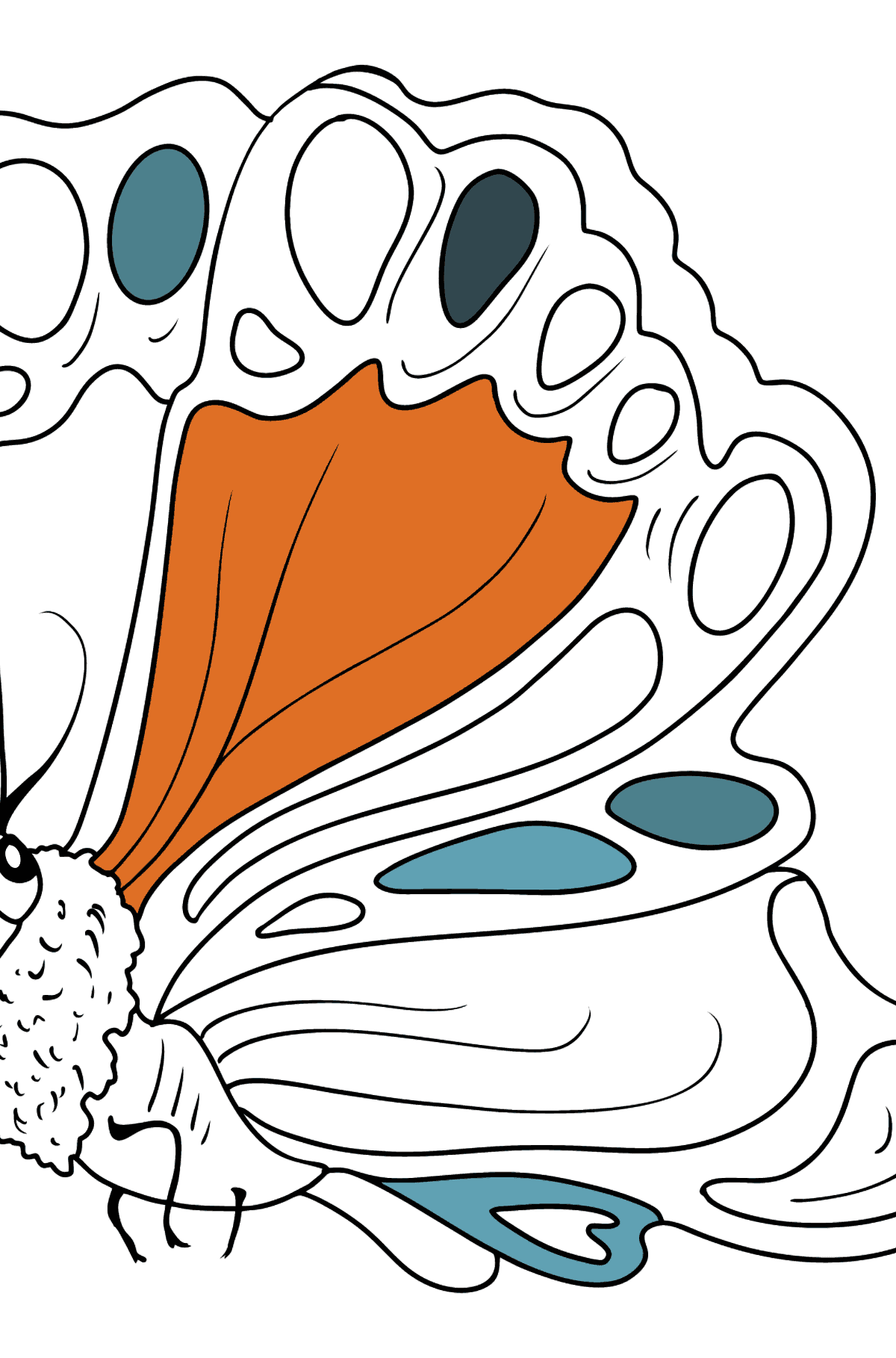 Desen de colorat fluture lateral - Desene de colorat pentru copii