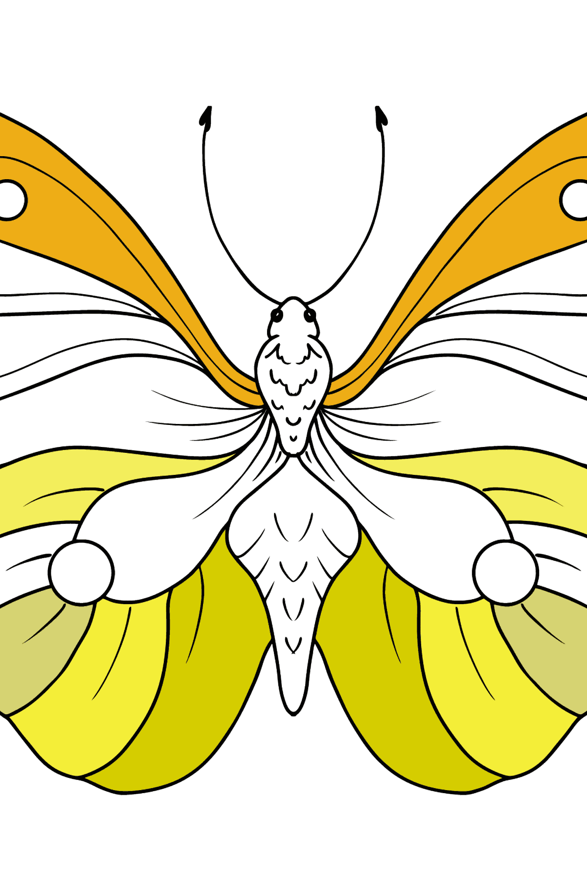 Dibujo de Mariposa Limoncillo para colorear - Dibujos para Colorear para Niños