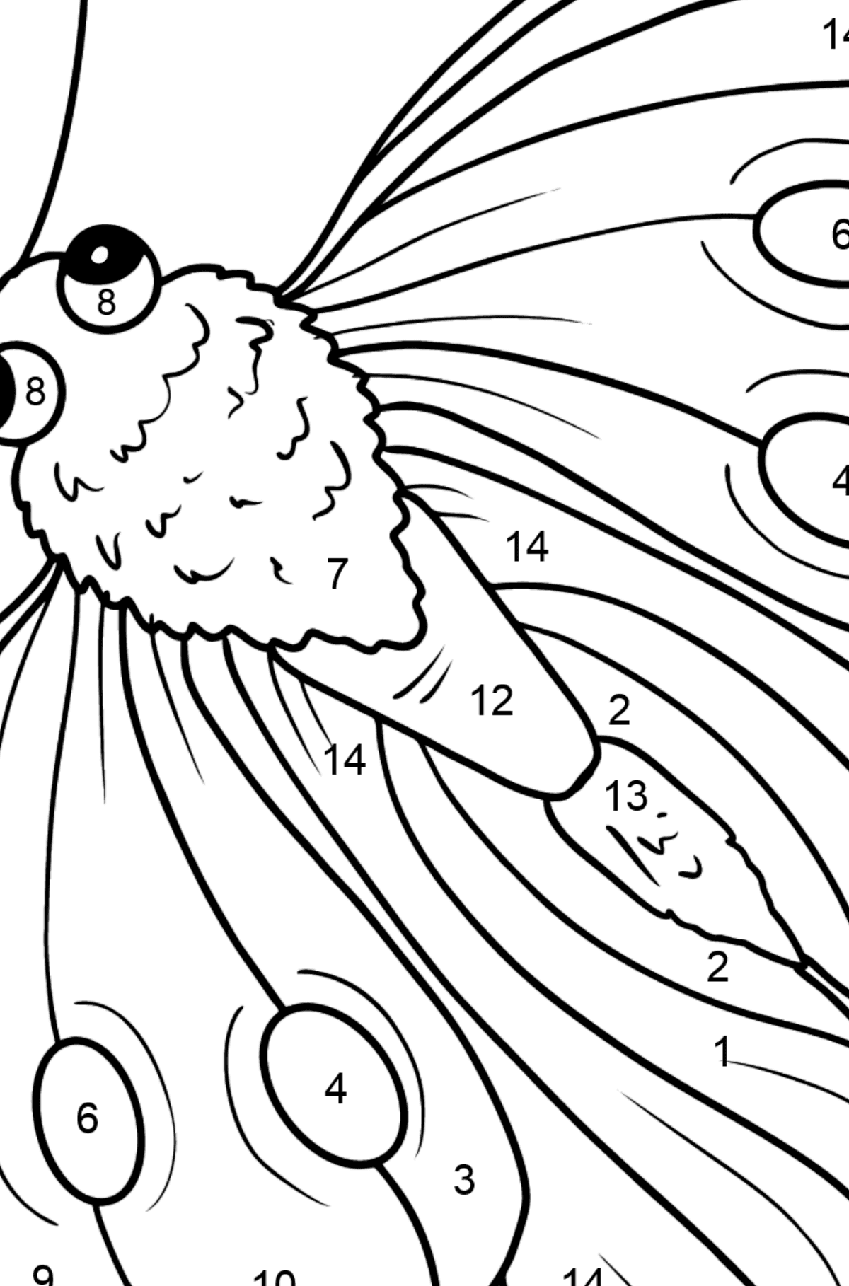 Desen de colorat fluture pieris - Desen de colorat după Număr pentru copii