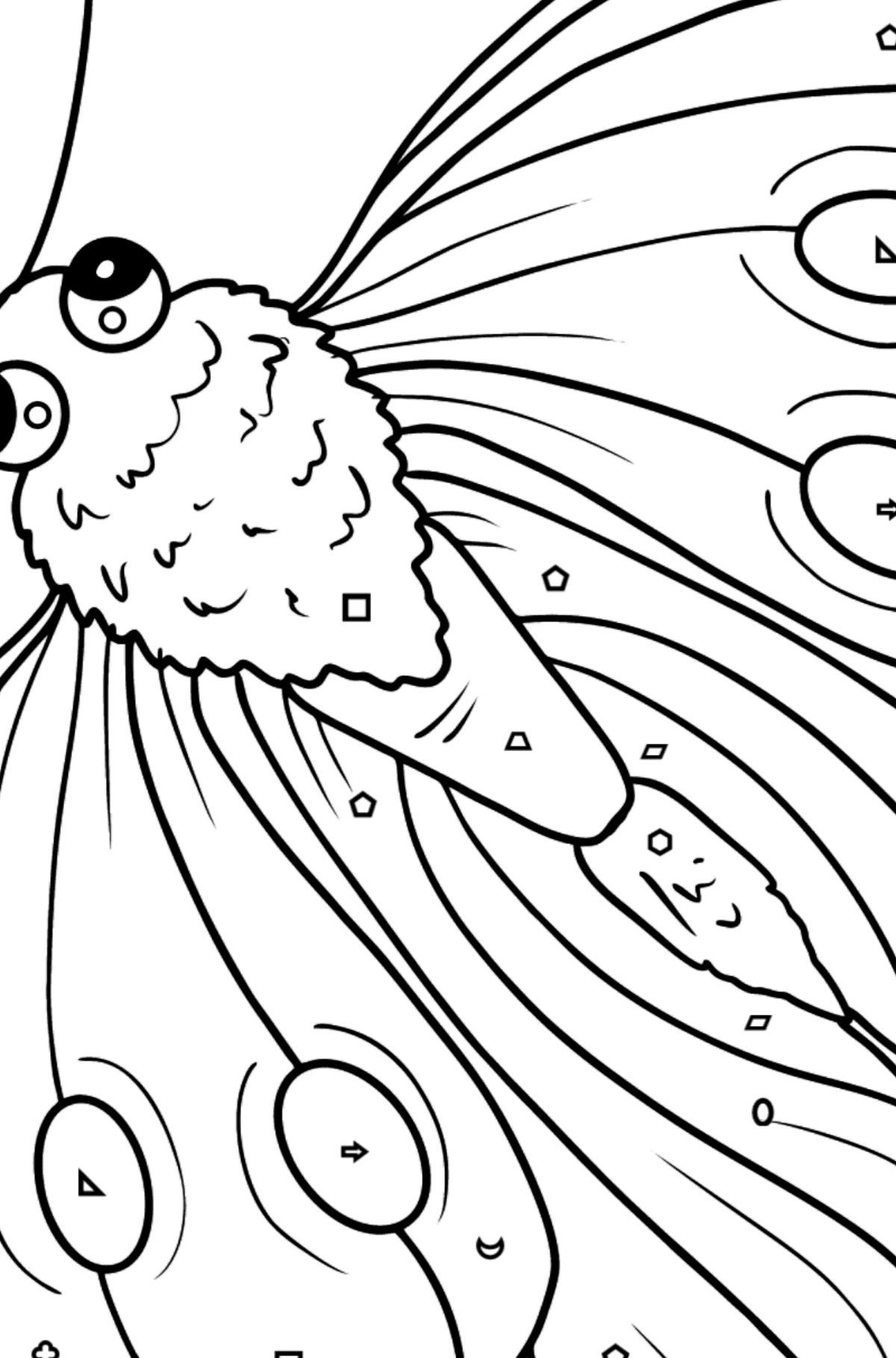 Dibujo de Mariposa Pieris para colorear - Colorear por Formas Geométricas para Niños