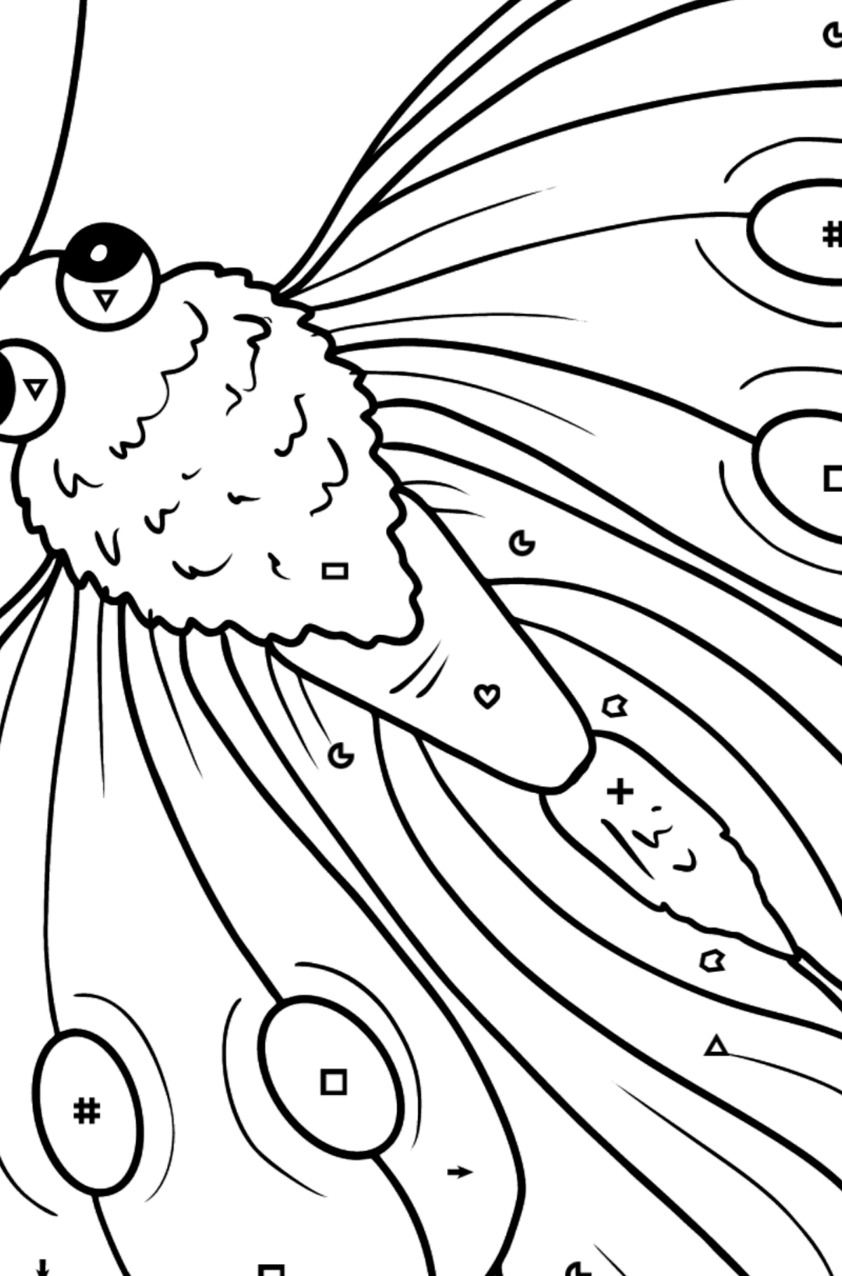 Dibujo de Mariposa Pieris para colorear - Colorear por Símbolos para Niños