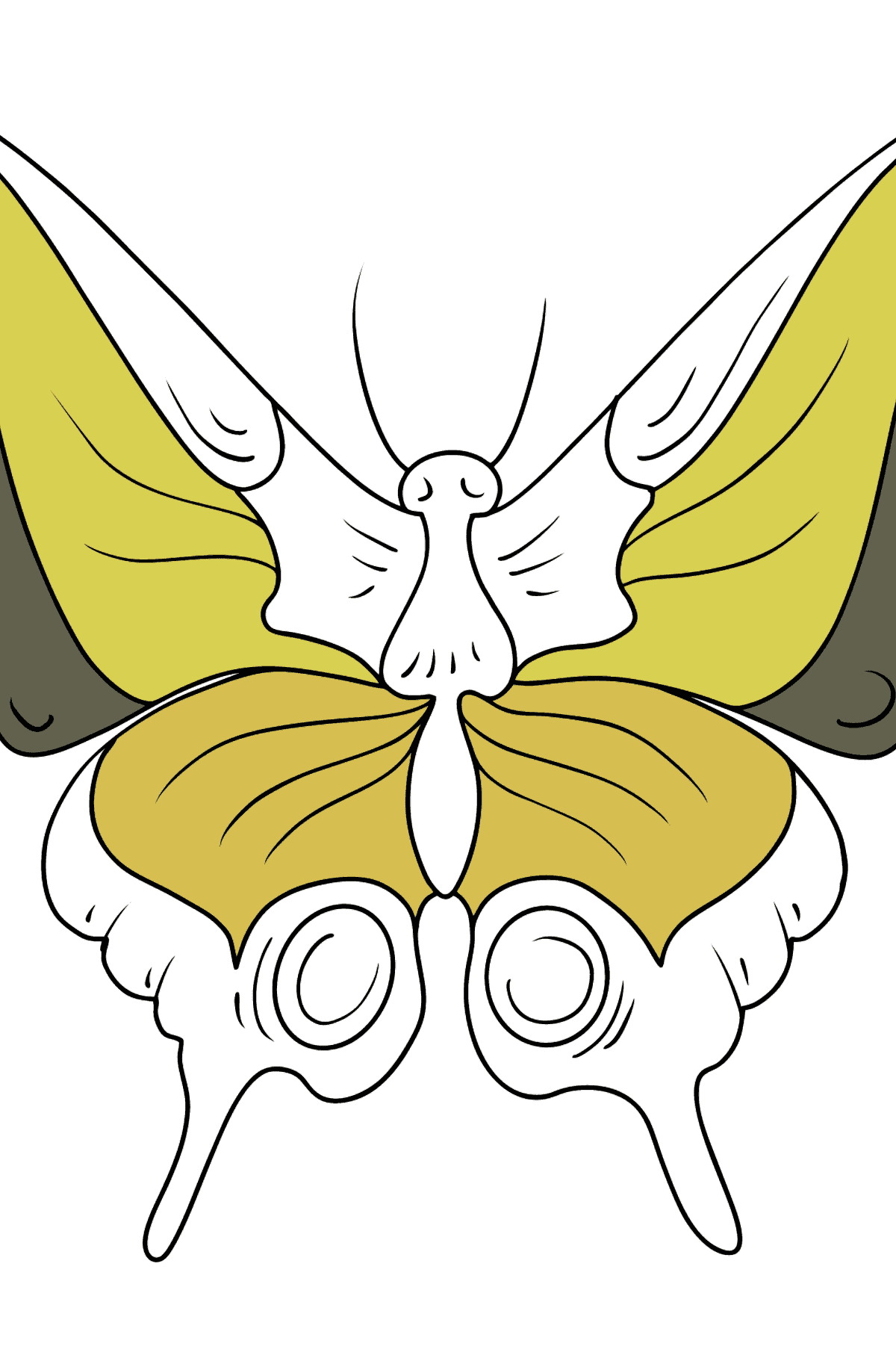 Раскраска бабочка махаон - Картинки для Детей