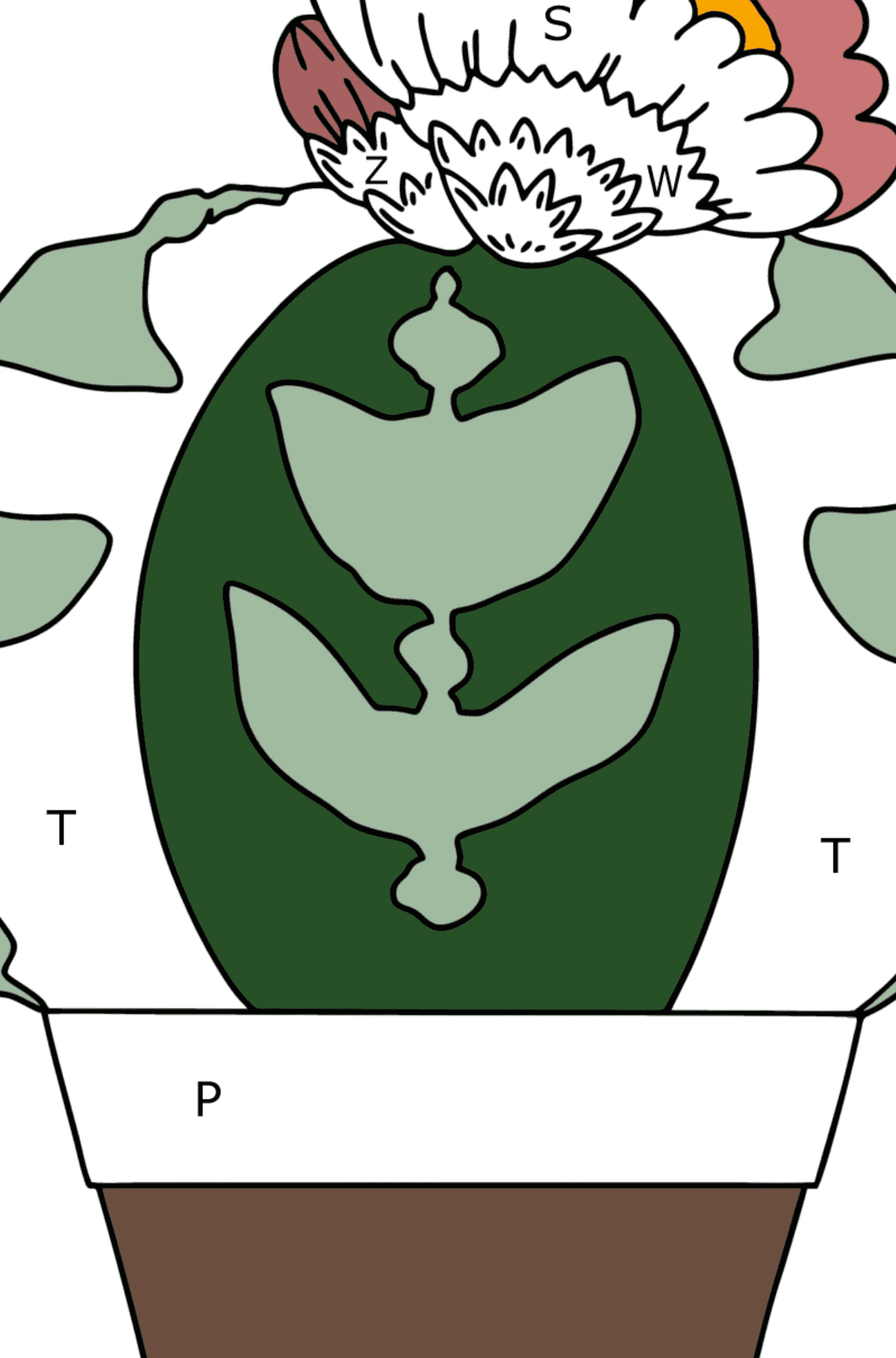 Kolorowanka Kaktus Astrophytum - Kolorowanki wedlug liter dla dzieci