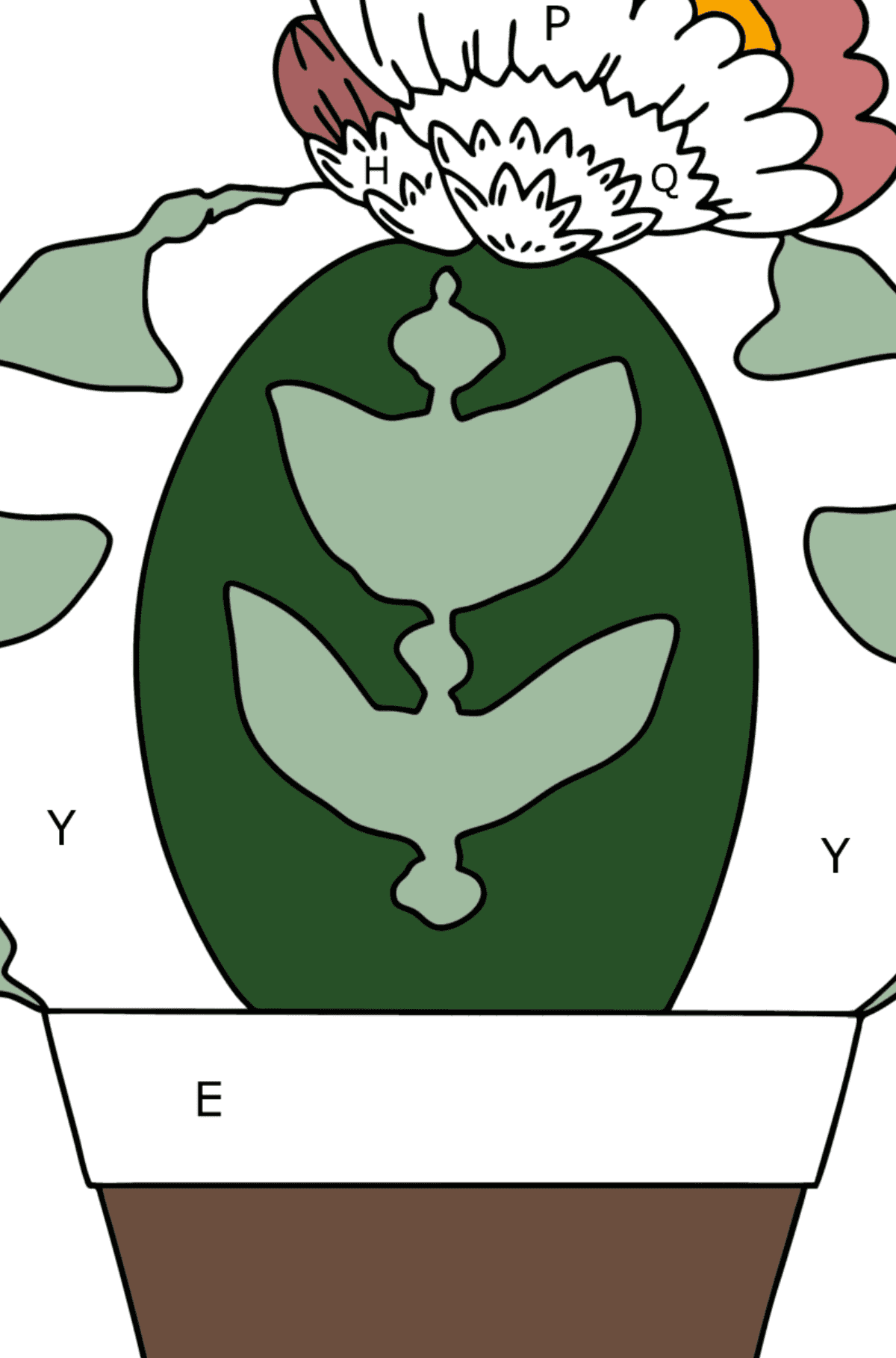 Astrophytum Cacto para colorir - Colorir por Letras para Crianças