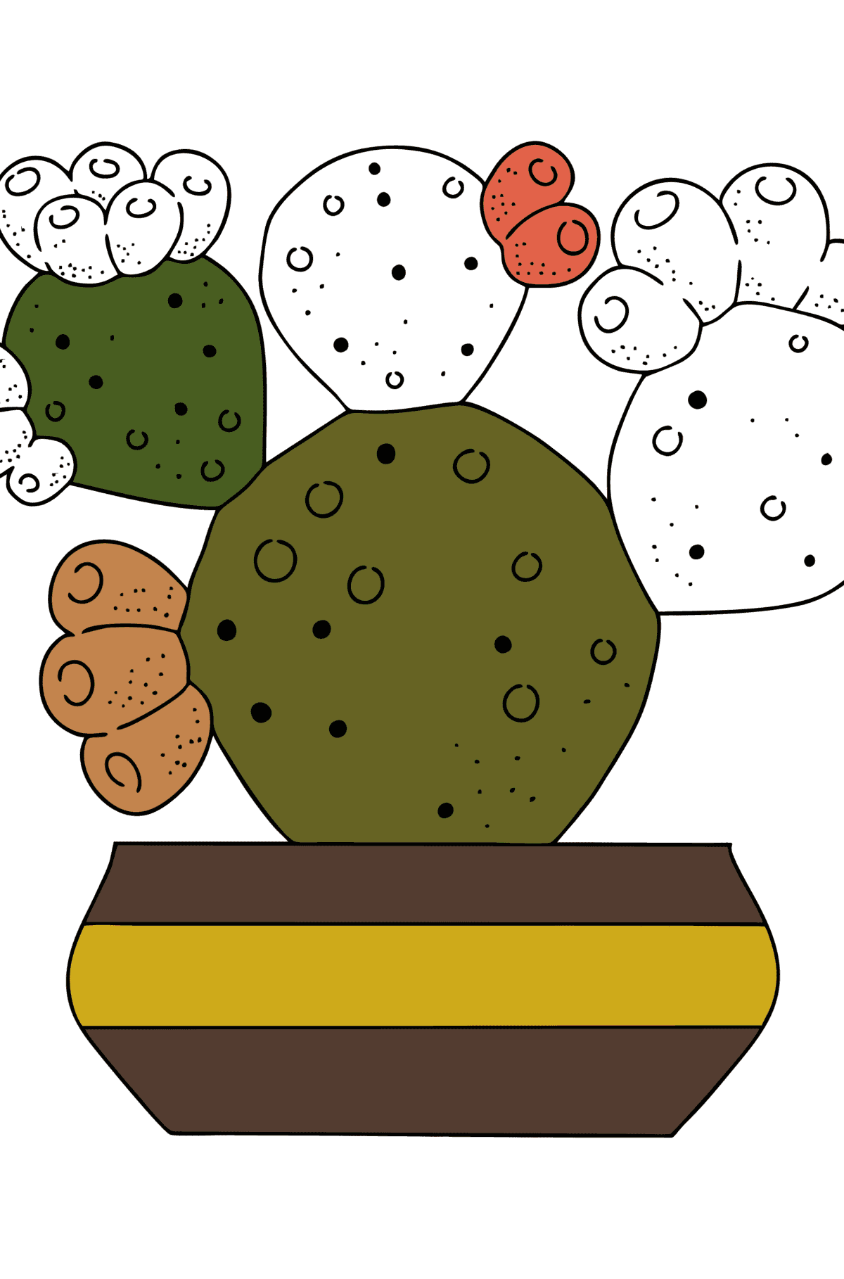 Kleurplaat nopaleyacactus - kleurplaten voor kinderen