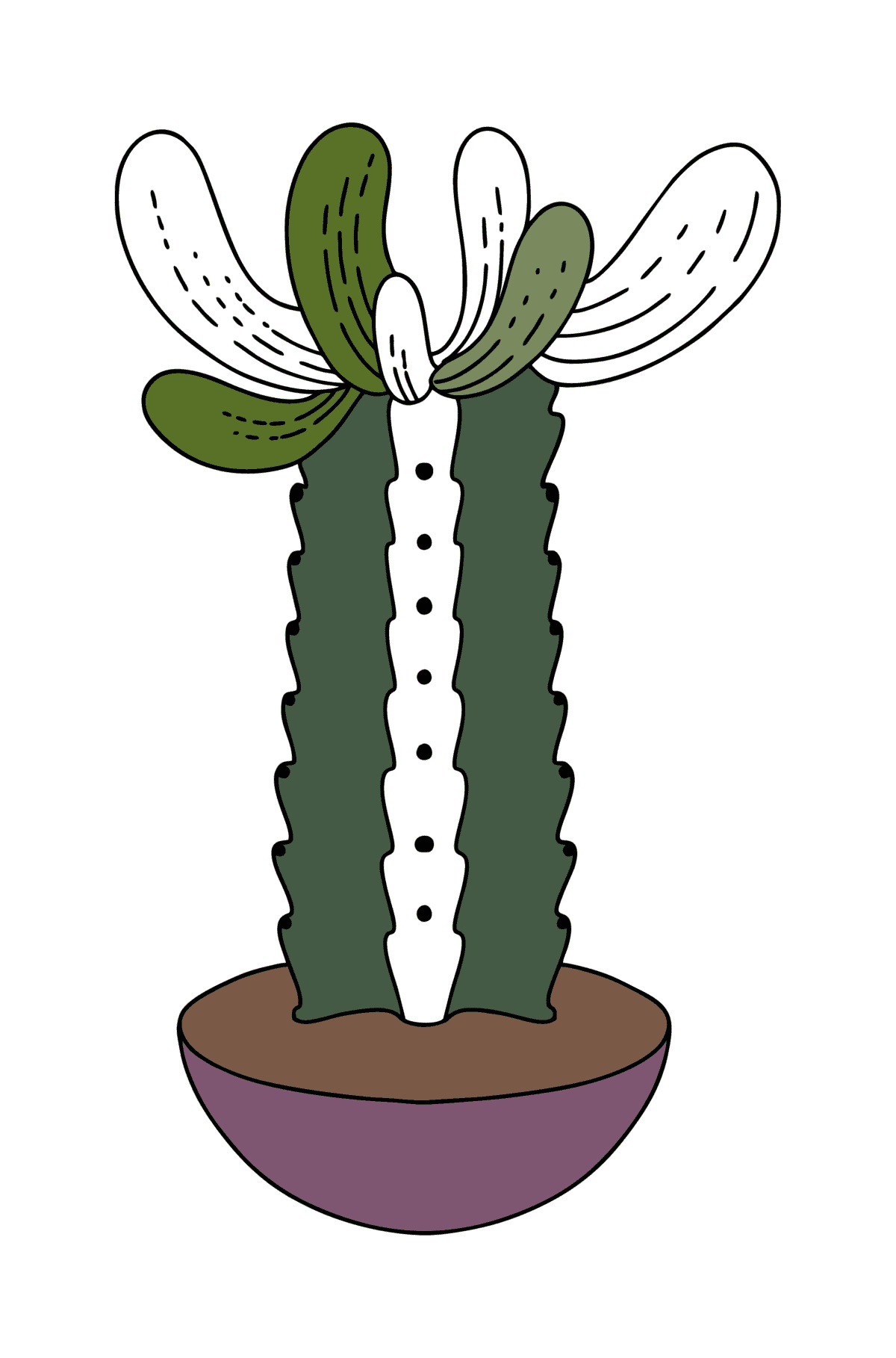 Desen de colorat cactus pentagonal - Desene de colorat pentru copii
