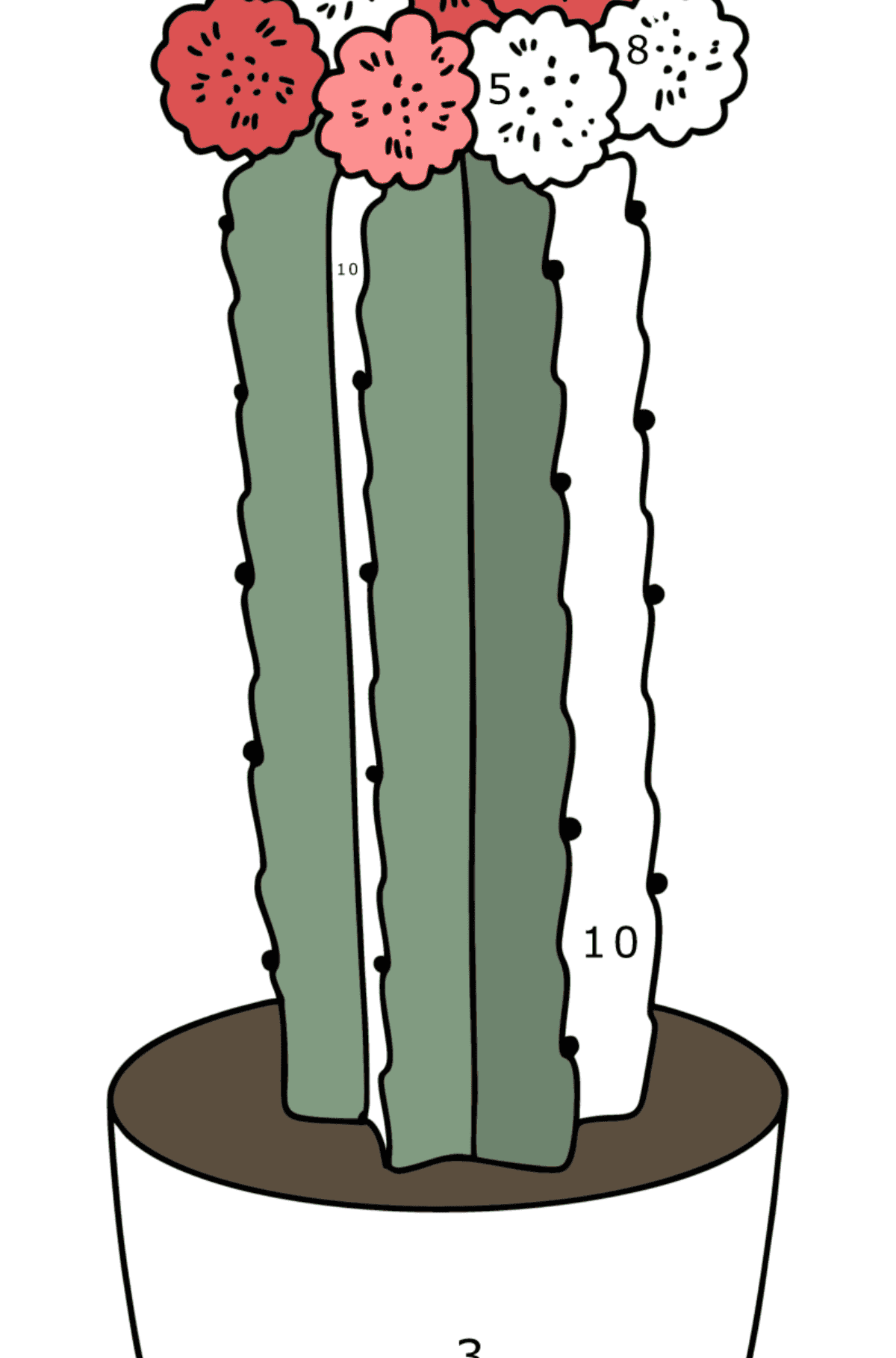 Cactus coloring sheet - Coloring by Numbers for Kids