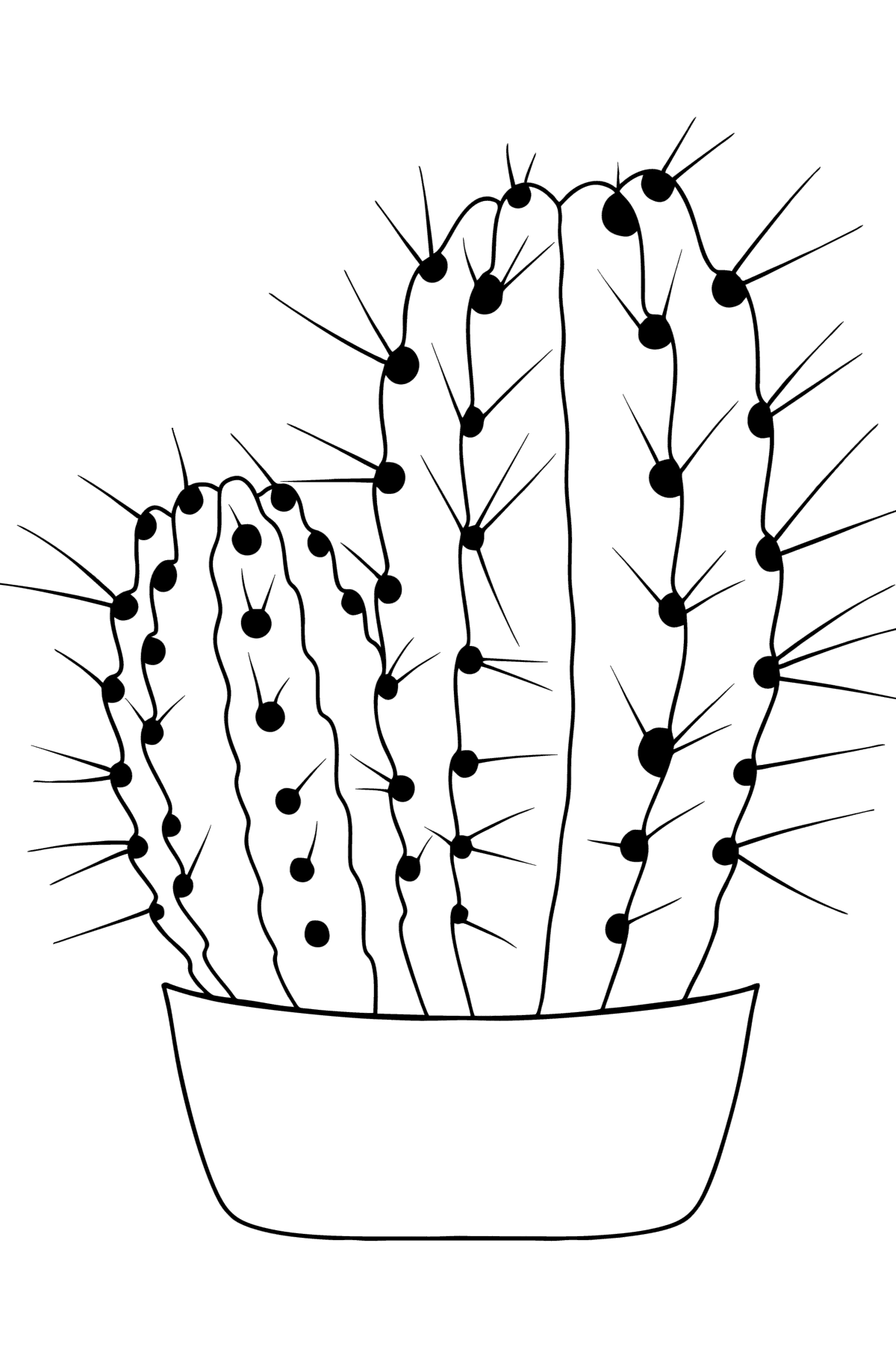 Cactus Coloring Page - Cactos Desenho Para Colorir Png - Free