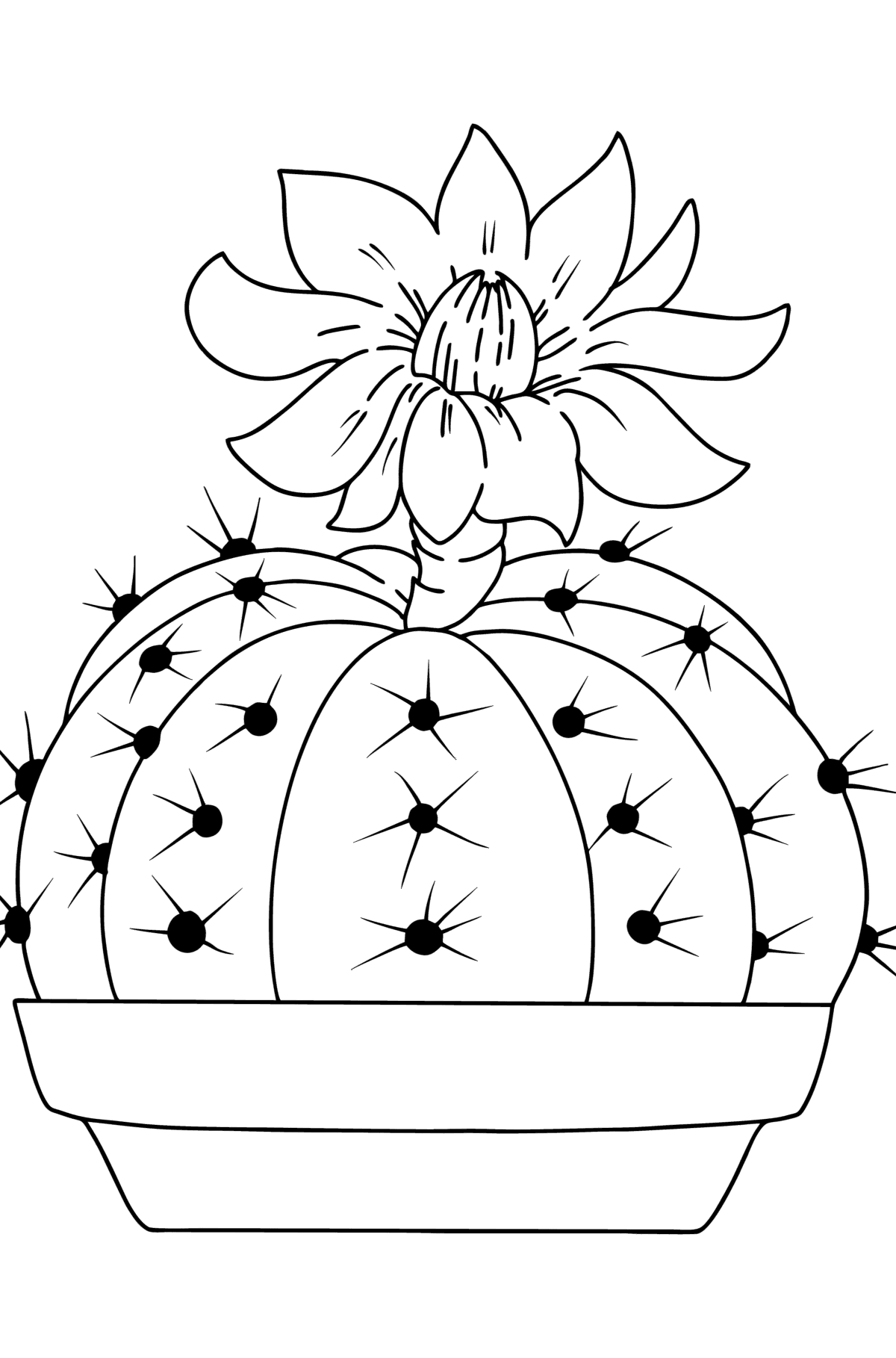 desenhos de cactos para colorir 97 em 2023  Cactos desenho, Desenho de  vasos de flores, Sol para colorir