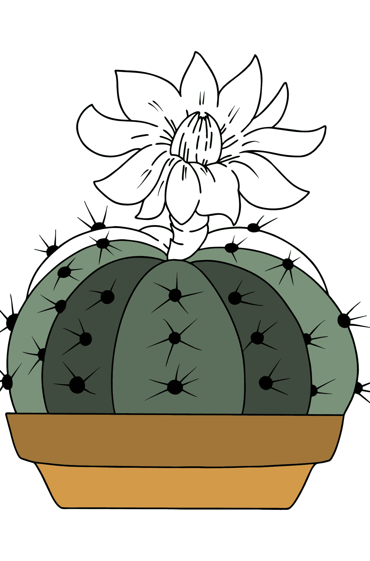 Cactus coloring page - Coloring Pages for Kids