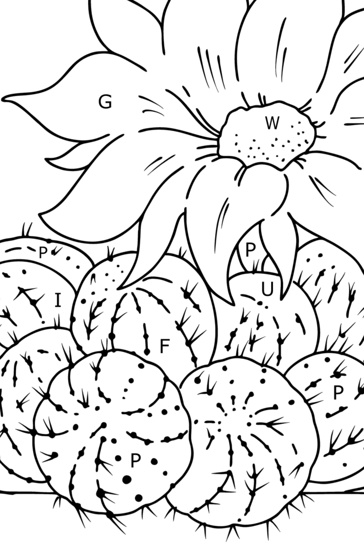 Little Nipple Cactus Coloring page - Coloring by Letters for Kids