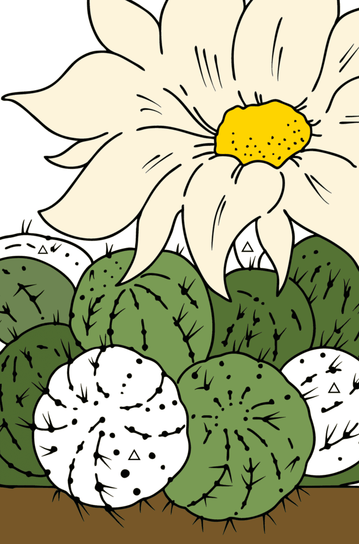 Little Nipple Cactus Coloring page - Coloring by Geometric Shapes for Kids
