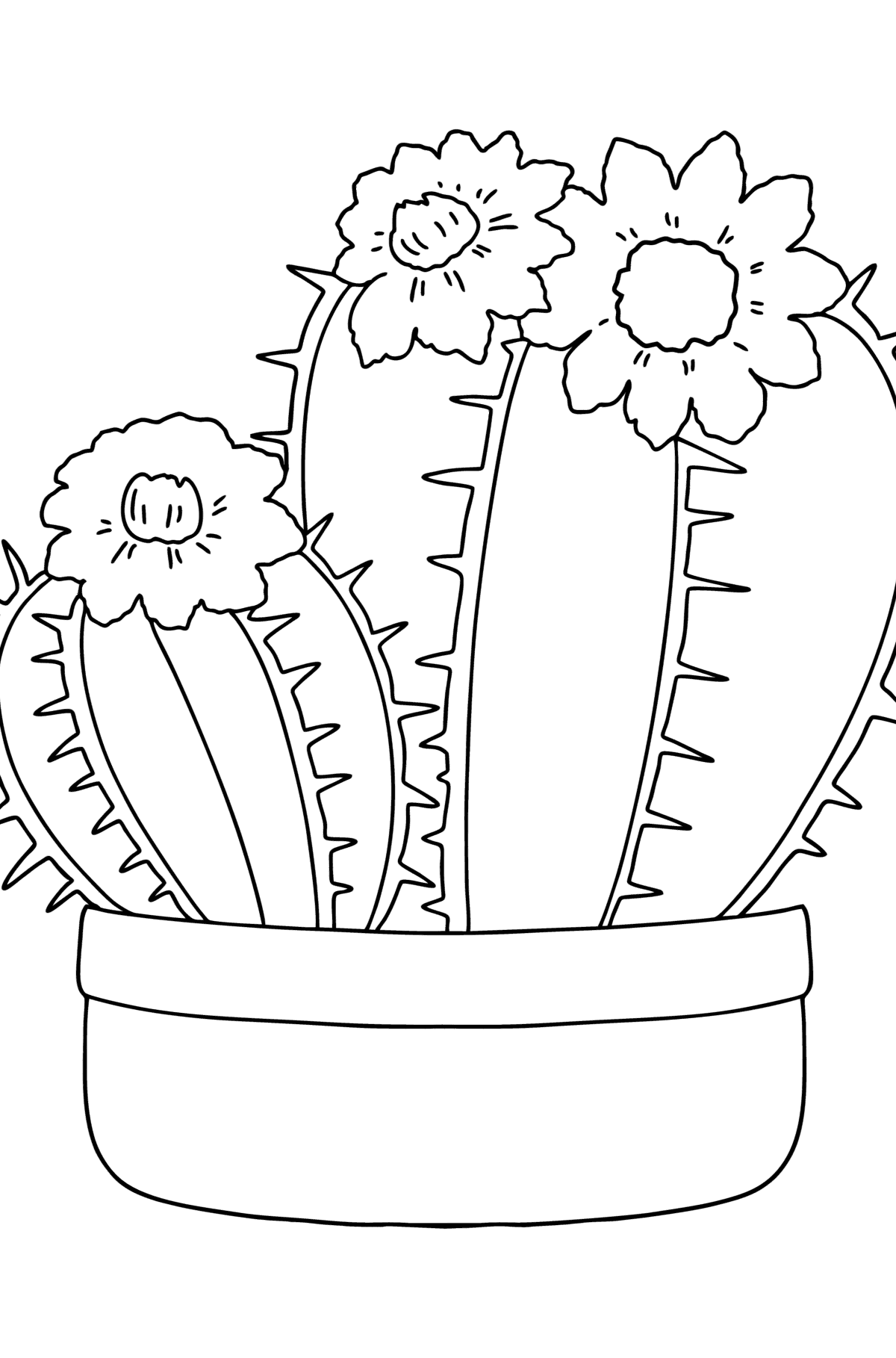 desenhos de cactos para colorir 97 em 2023  Cactos desenho, Desenho de  vasos de flores, Sol para colorir