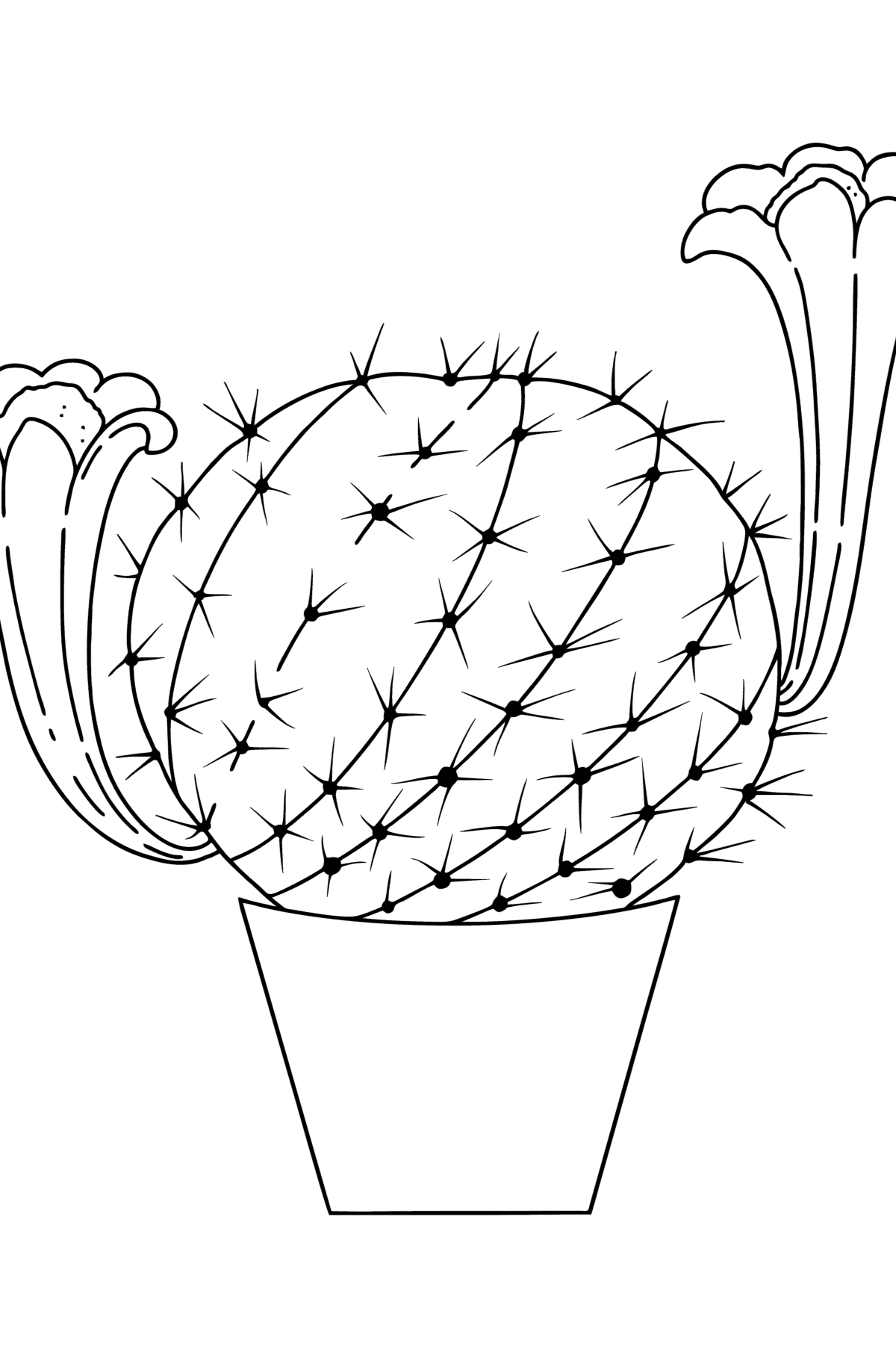 Risco suculenta  Cactus drawing, Cactus paintings, Coloring pages