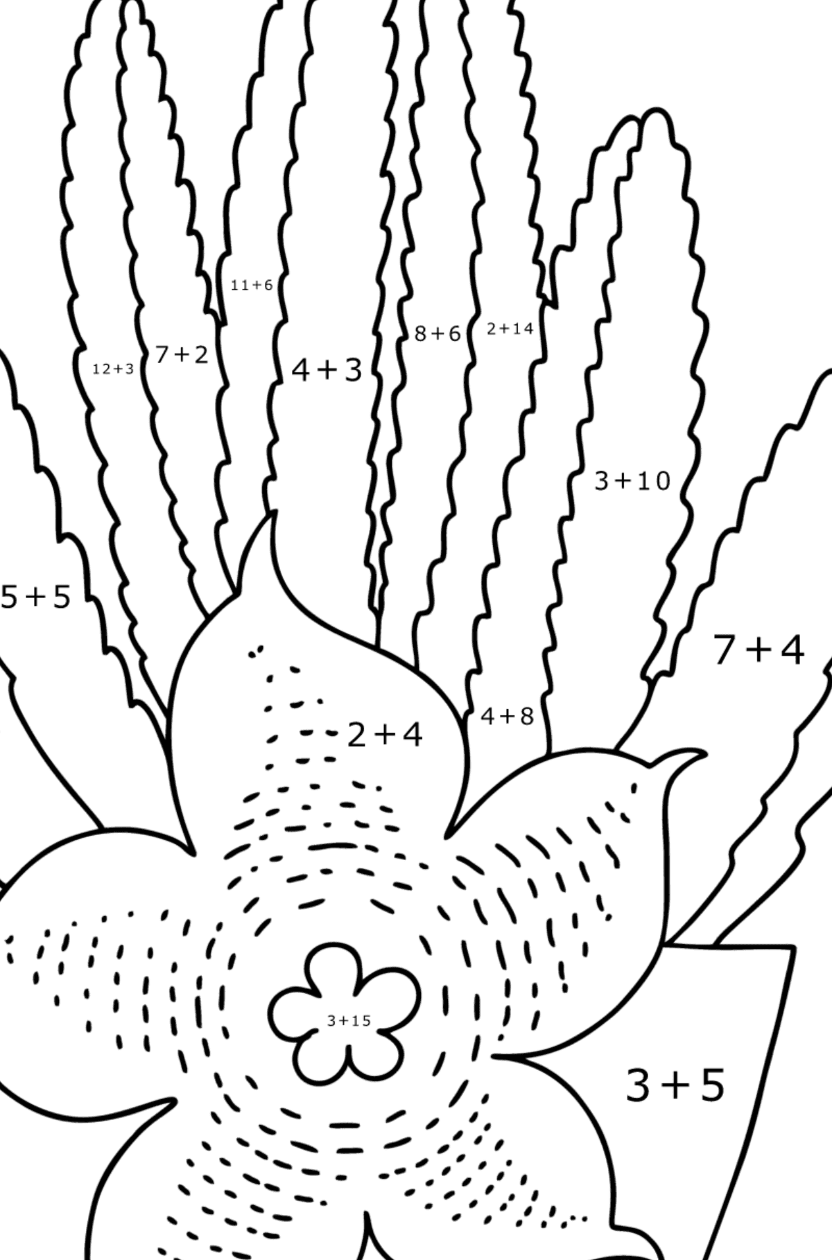 Stapelia Cactus coloring page - Math Coloring - Addition for Kids