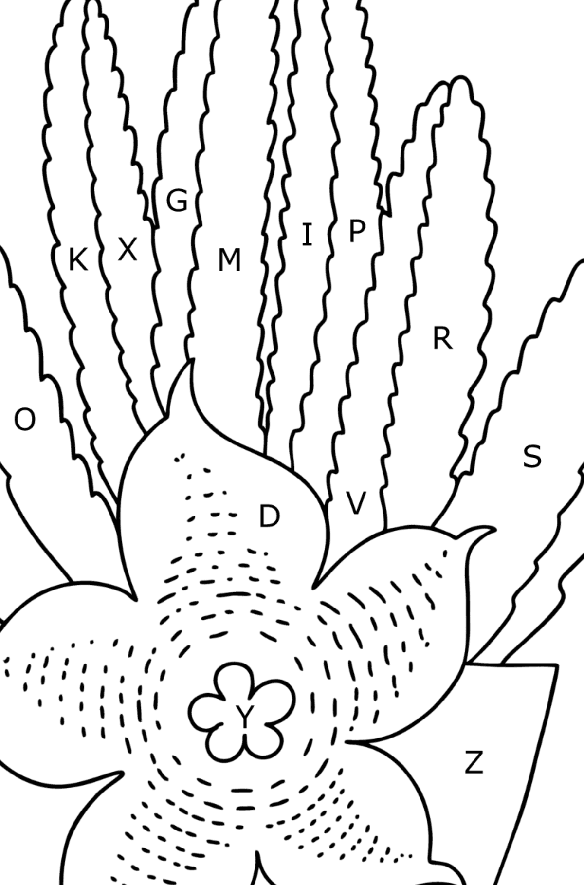 Kleurplaat cactus stapelia - Kleuren met letters voor kinderen