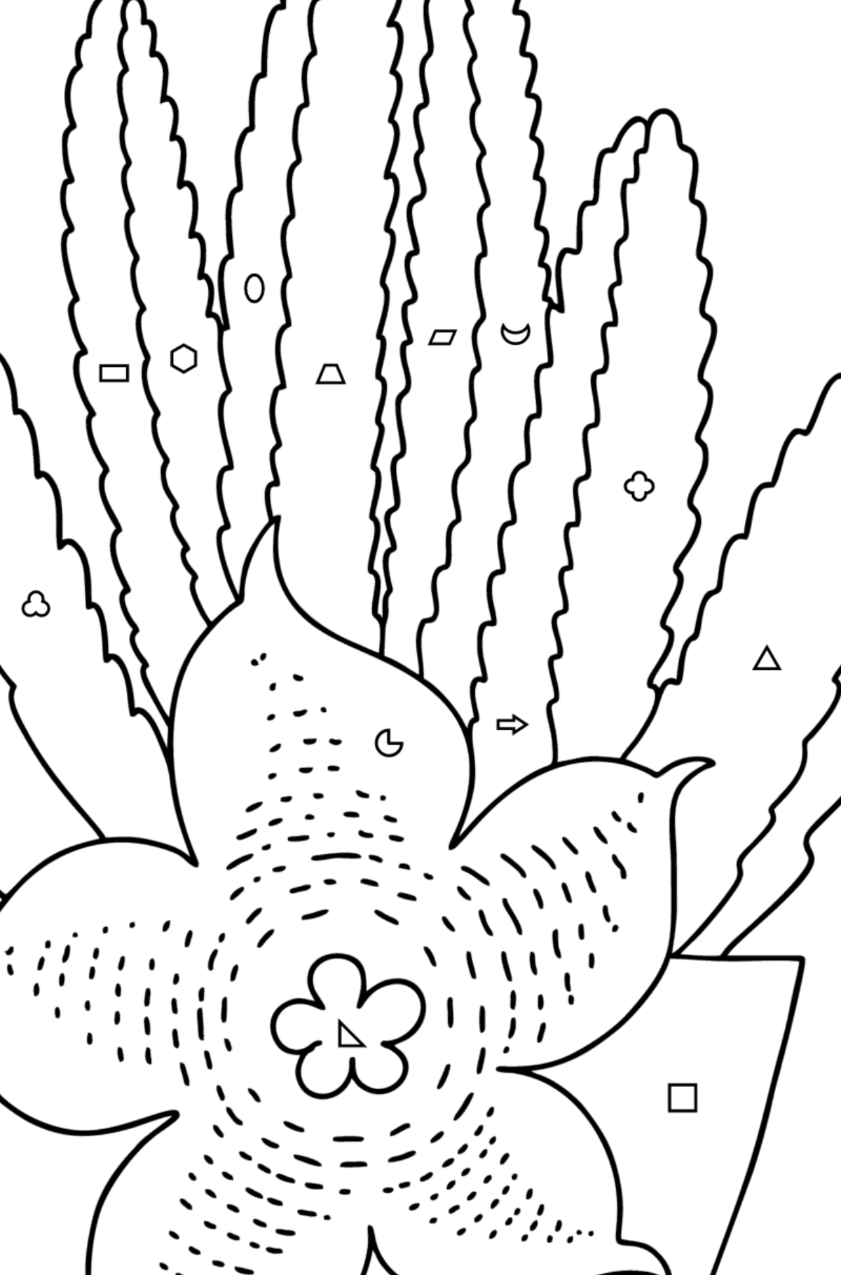 Stapelia Cactus coloring page - Coloring by Geometric Shapes for Kids