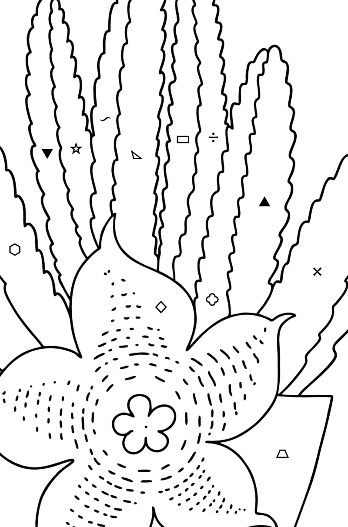 Kolorowanka Kaktus Stapelia - Kolorowanie według symboli i figur geometrycznych dla dzieci