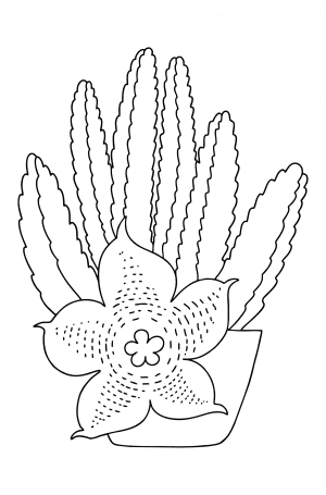 Stapelia Cactus coloring page ♥ Online and Print for Free!