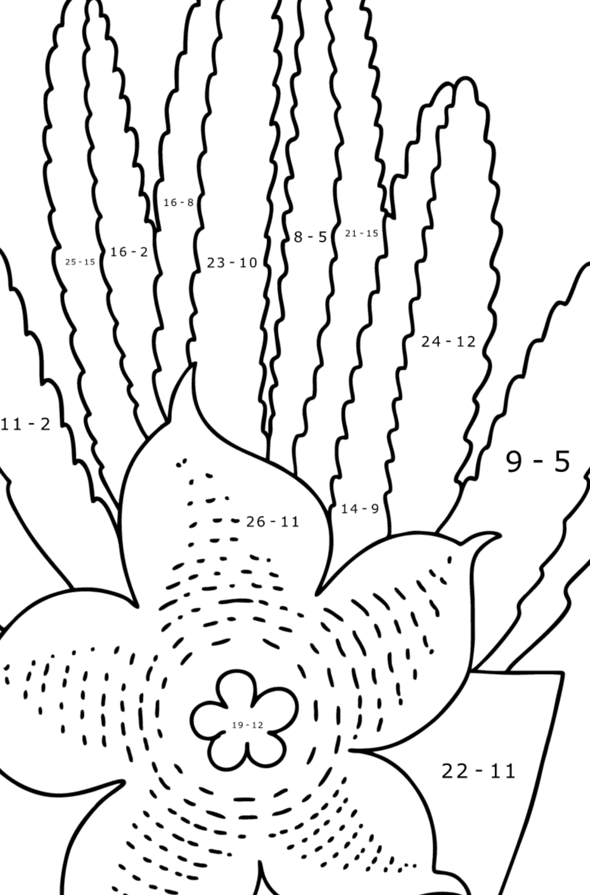 Stapelia Cactus coloring page - Math Coloring - Subtraction for Kids