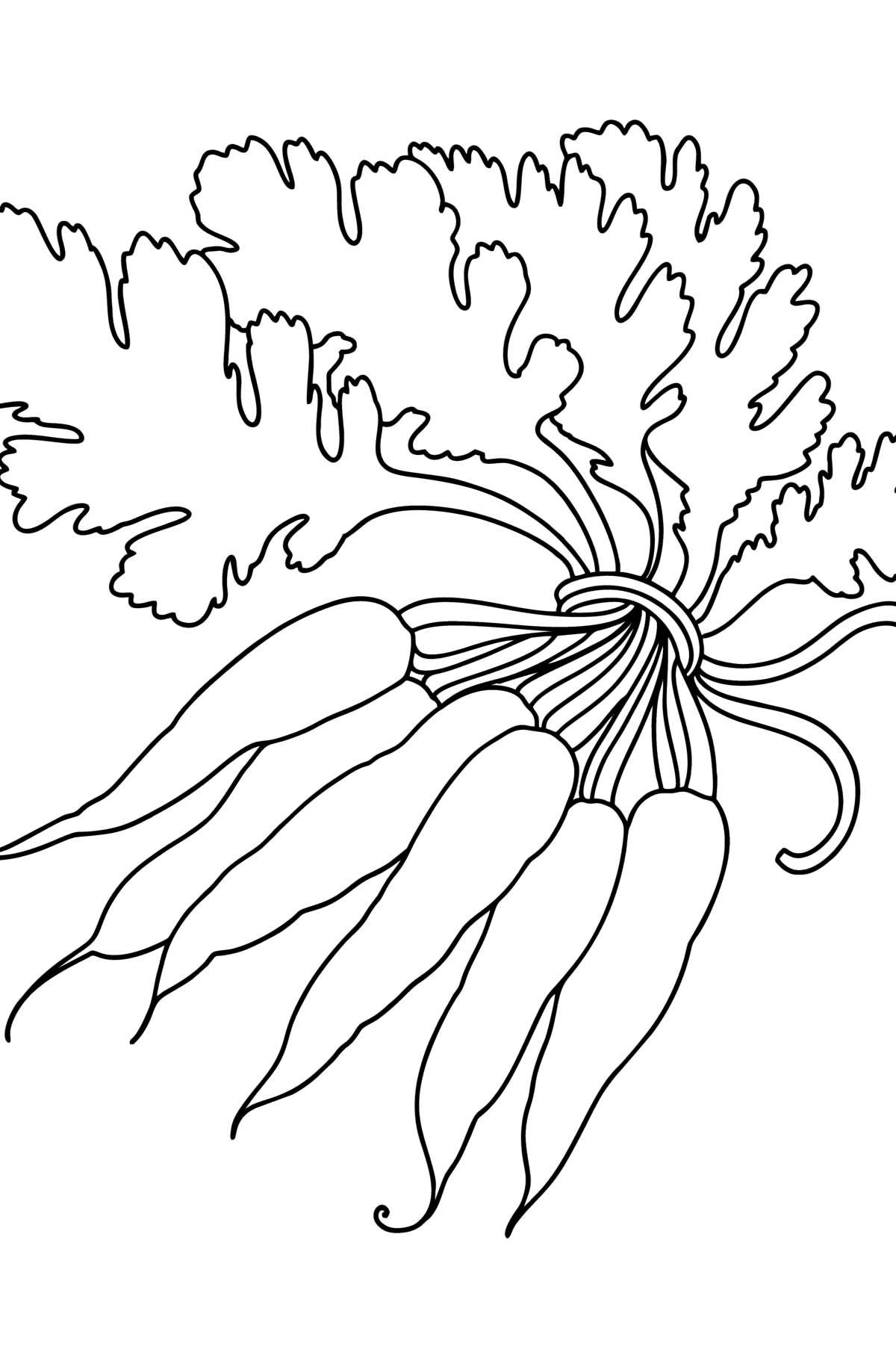 Bunch of carrots сoloring page - Coloring Pages for Kids