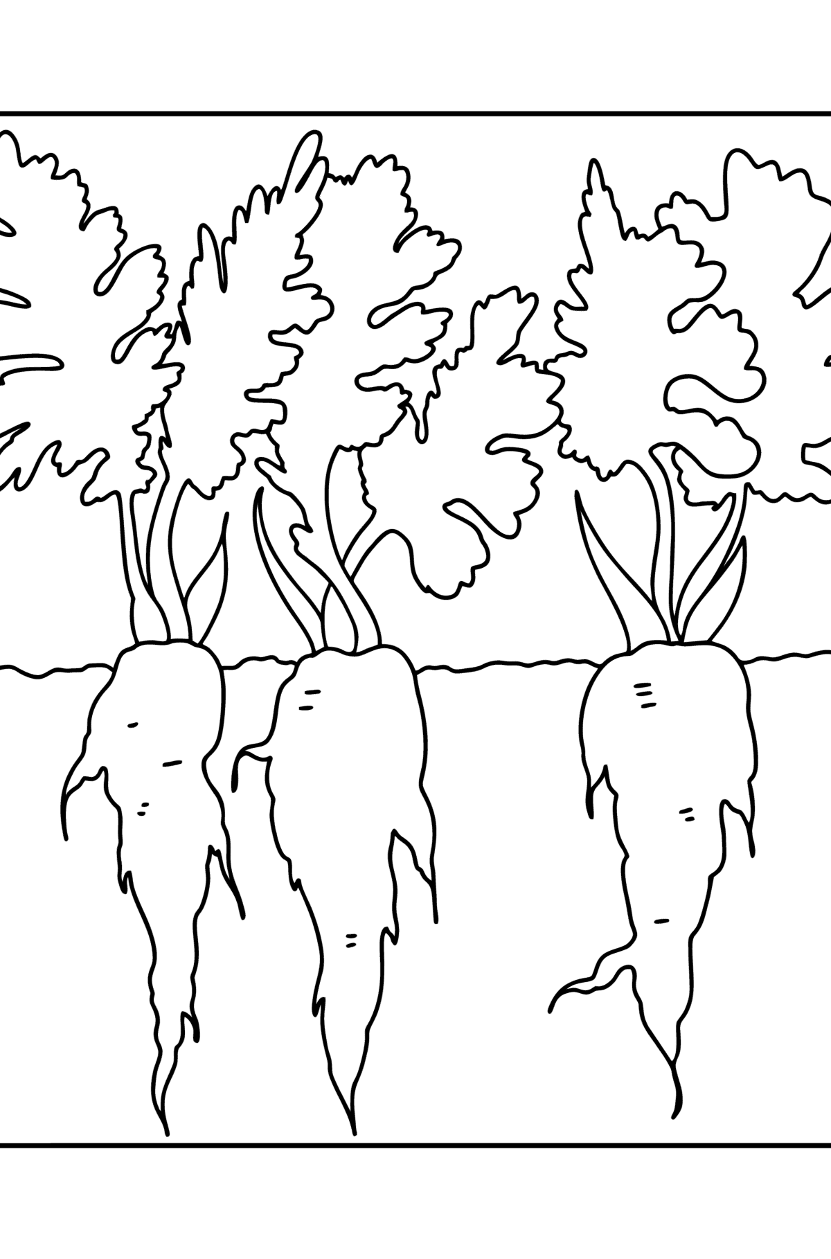 Carrot grows сoloring page - Coloring Pages for Kids