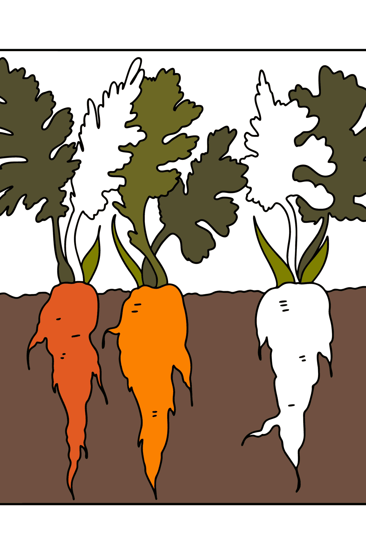 Värityskuva Porkkana kasvaa - Värityskuvat lapsille