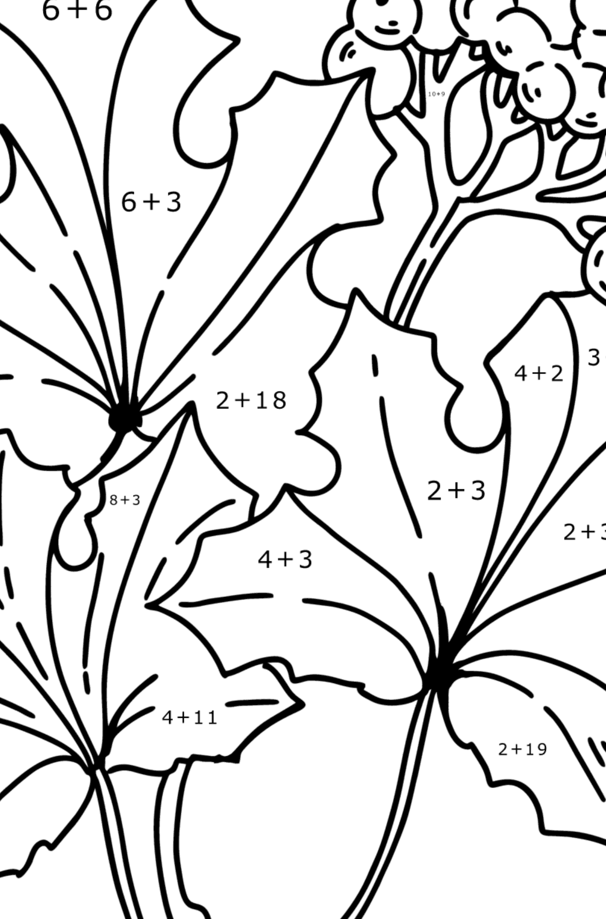 Coloring page - Maple Leaves and Elderberries - Math Coloring - Addition for Kids