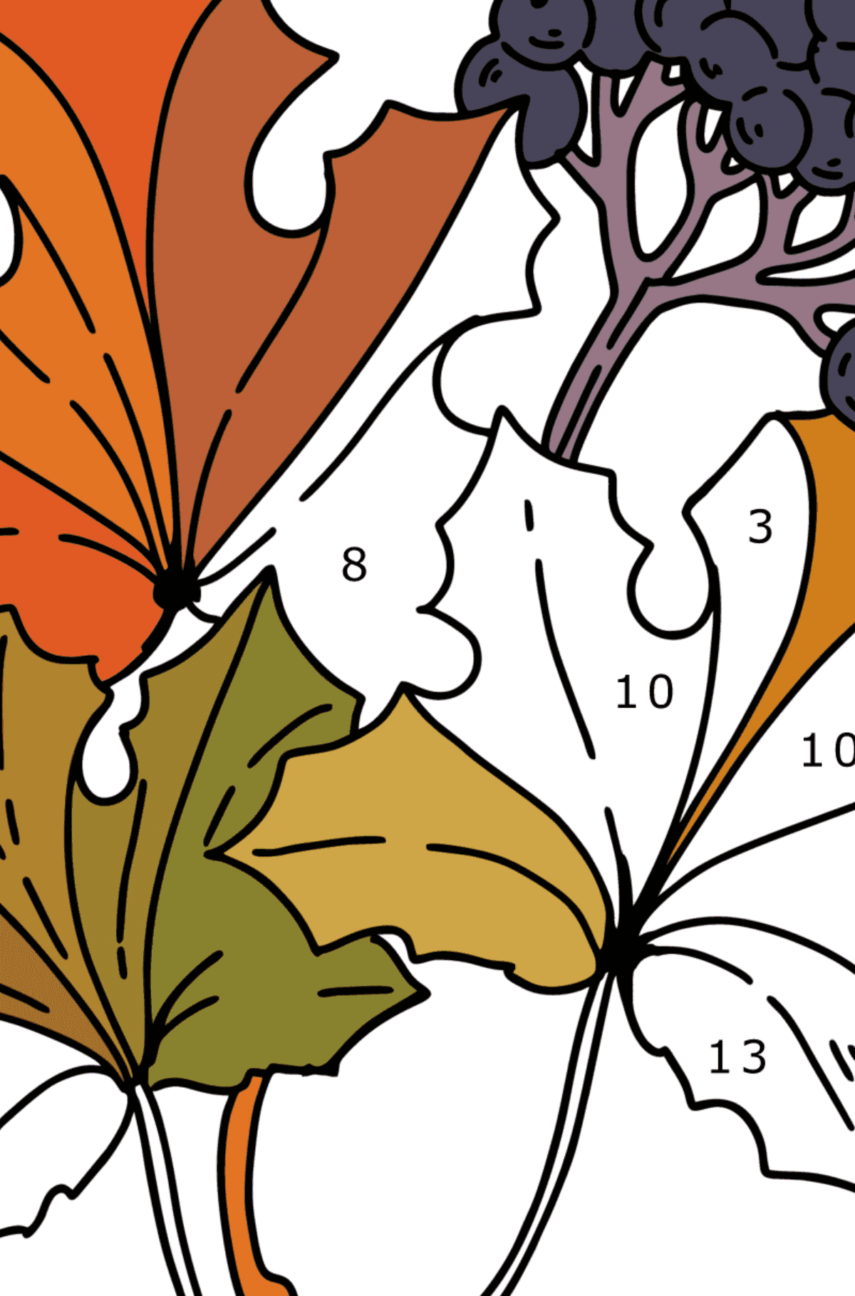 Coloring page - Maple Leaves and Elderberries - Coloring by Numbers for Kids