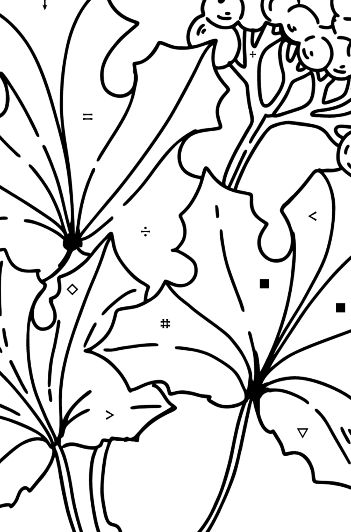 Coloring page - Maple Leaves and Elderberries - Coloring by Symbols for Kids