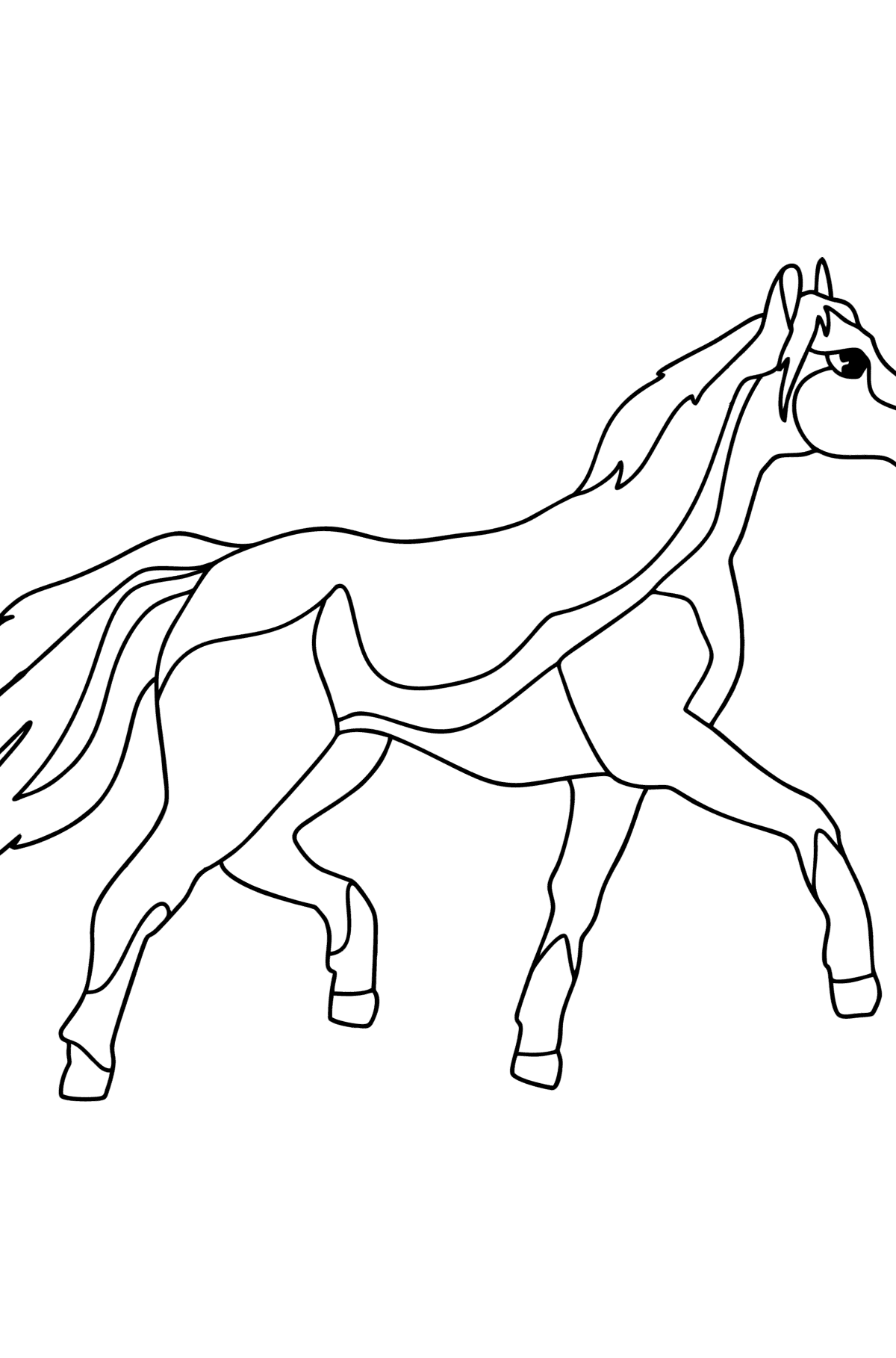 Tegning til farvning Anglo arabisk hest - Tegninger til farvelægning for børn
