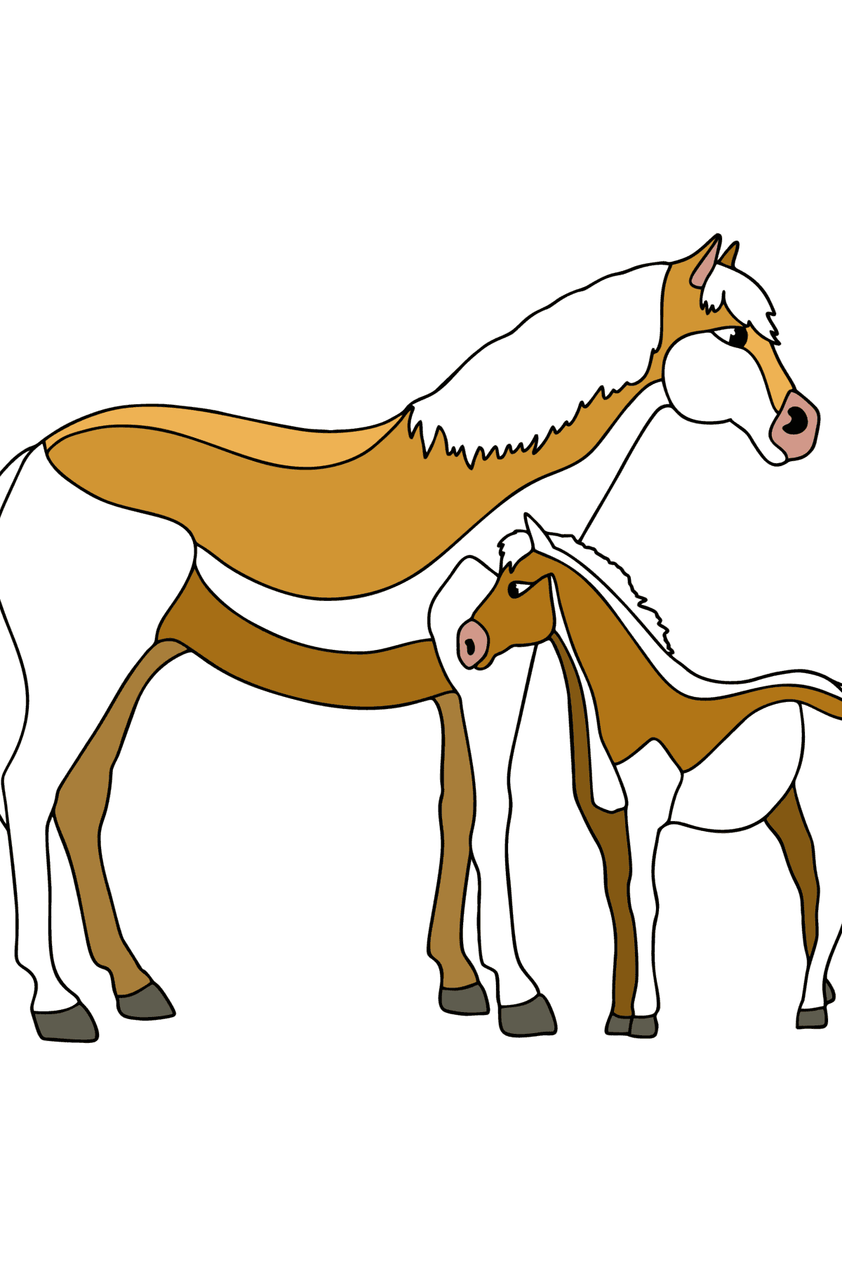 Omalovánka Kůň a hříbě - Omalovánky pro děti