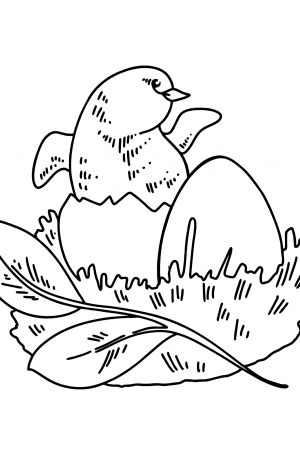 4 Seasons Coloring Pages - Print, and Color Online!