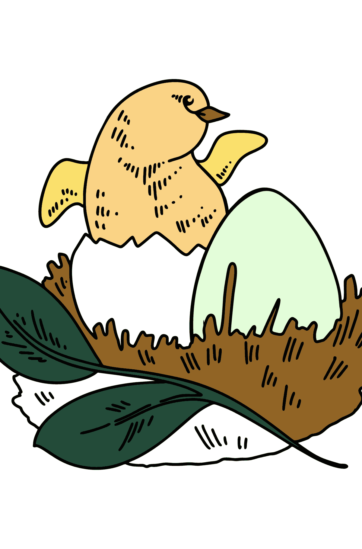 Dibujo de pollito en el nido para colorear - Dibujos para Colorear para Niños