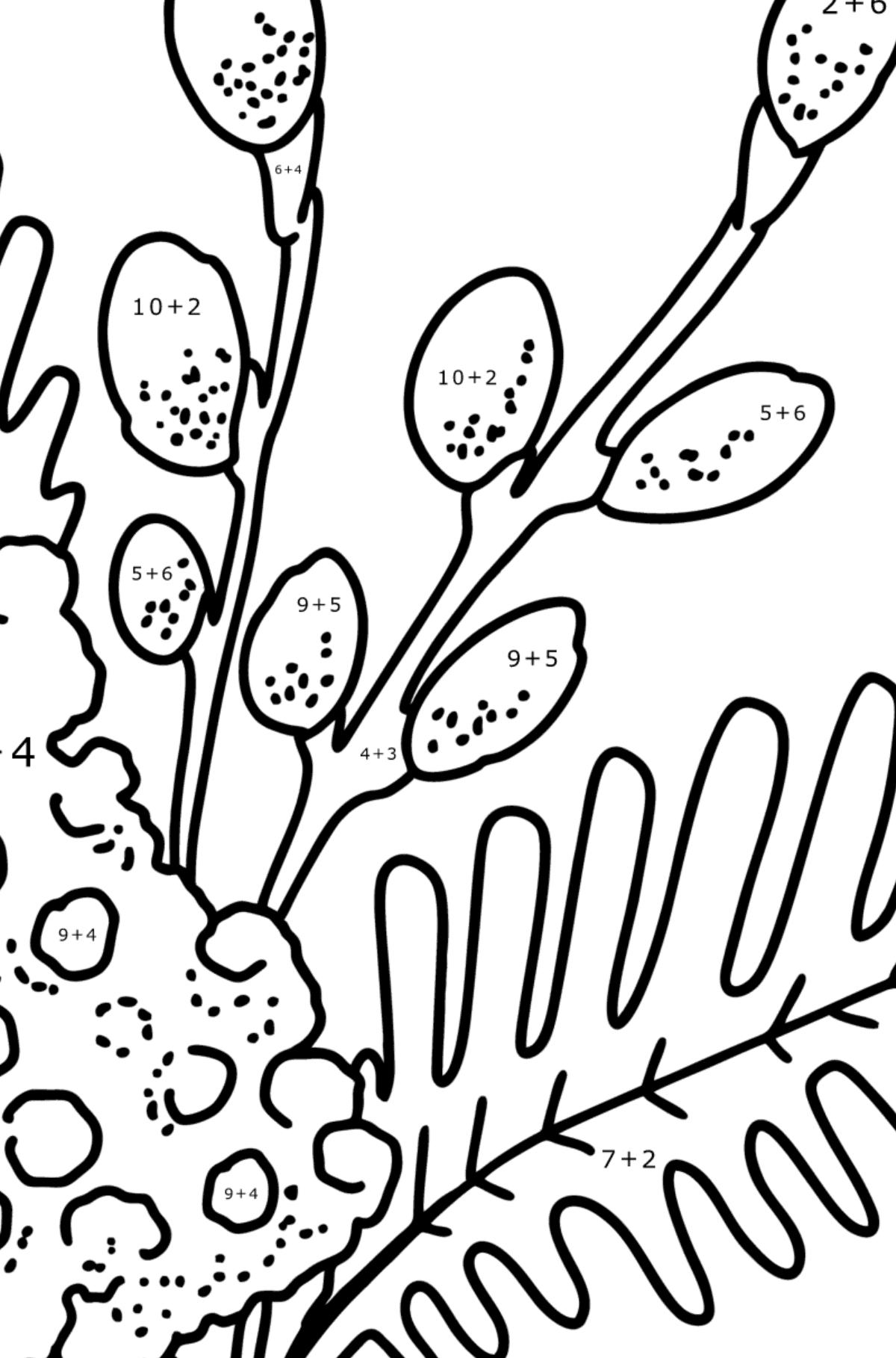 Coloring page - Mimosa and Pussy Willow - Math Coloring - Addition for Kids