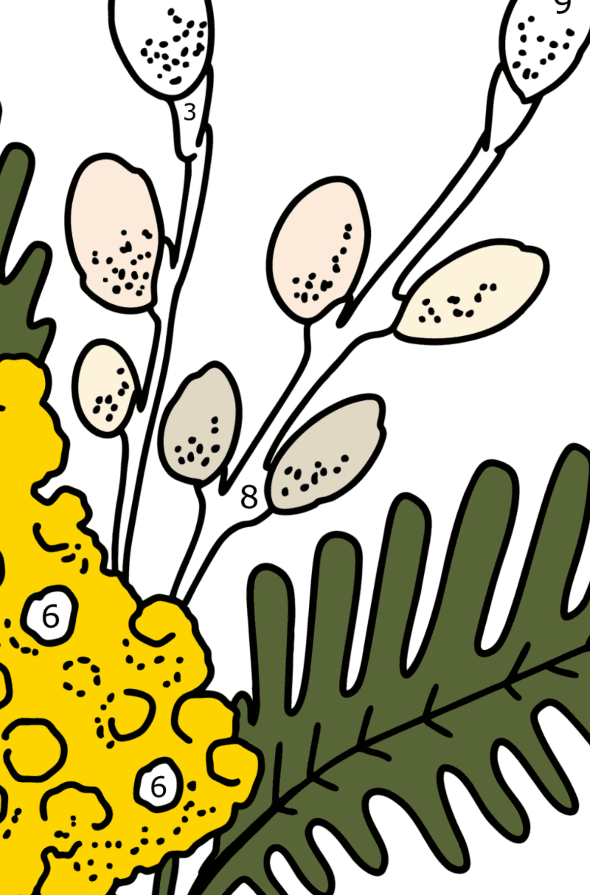 Coloring page - Mimosa and Pussy Willow - Coloring by Numbers for Kids