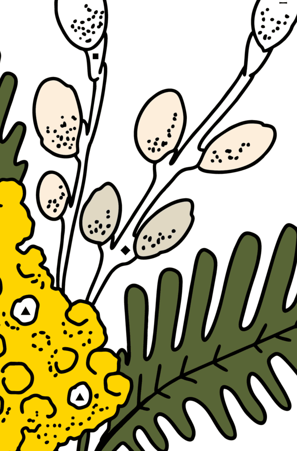 Ausmalbild - Mimose und Weidenkätzchen - Ausmalen nach Symbolen für Kinder