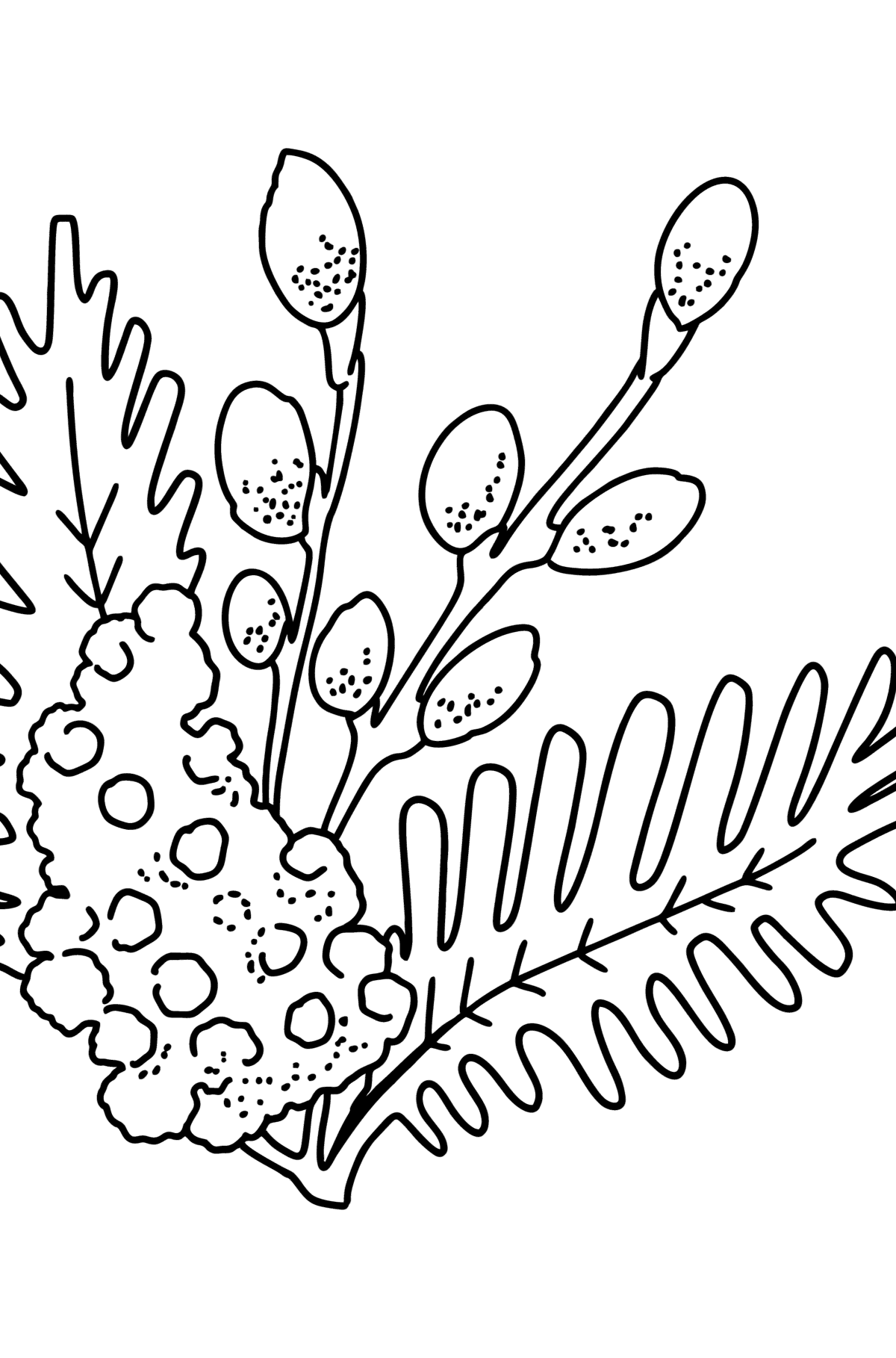 Dibujo para colorear - Mimosa y Pussy Willow - Dibujos para Colorear para Niños
