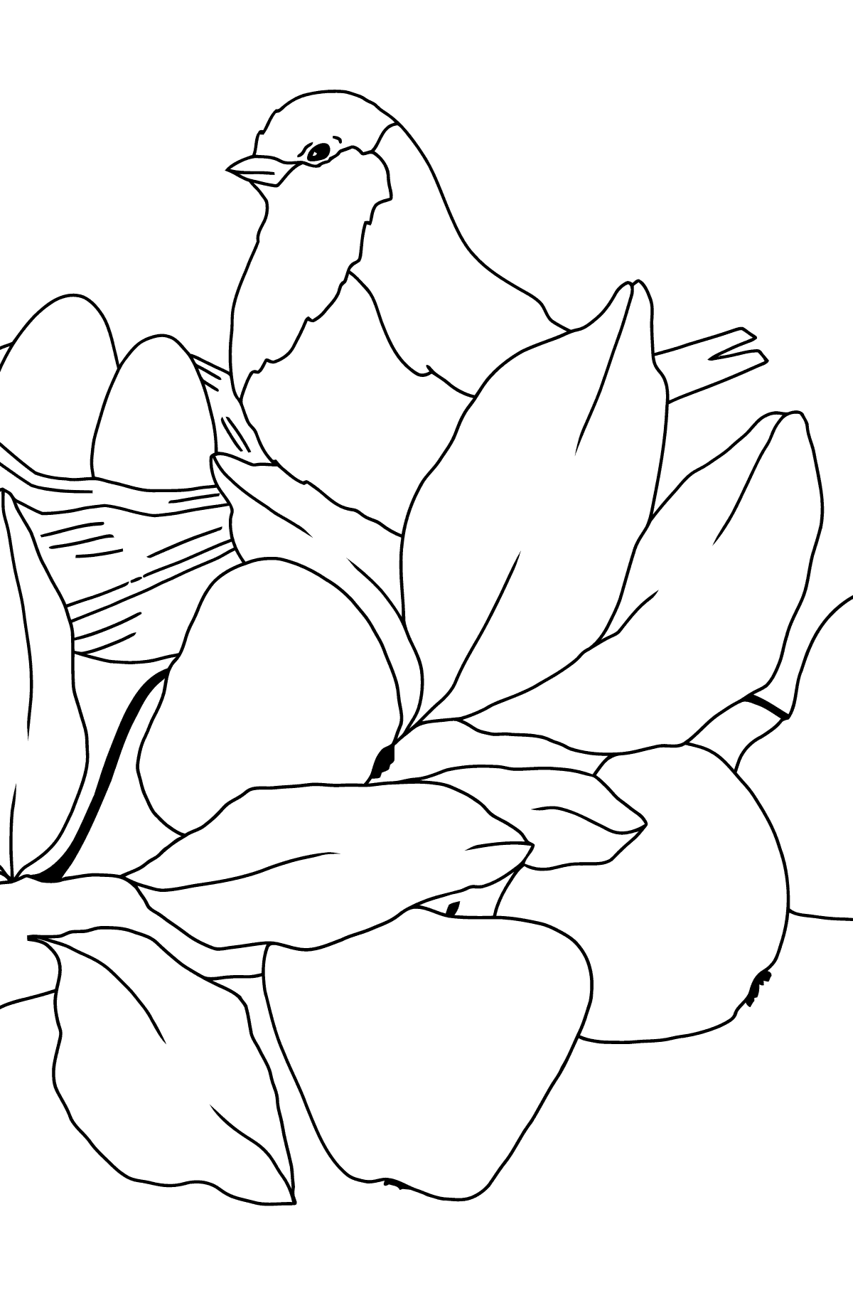Spring Coloring Page - A Bird will Soon Have Nestlings for Kids 