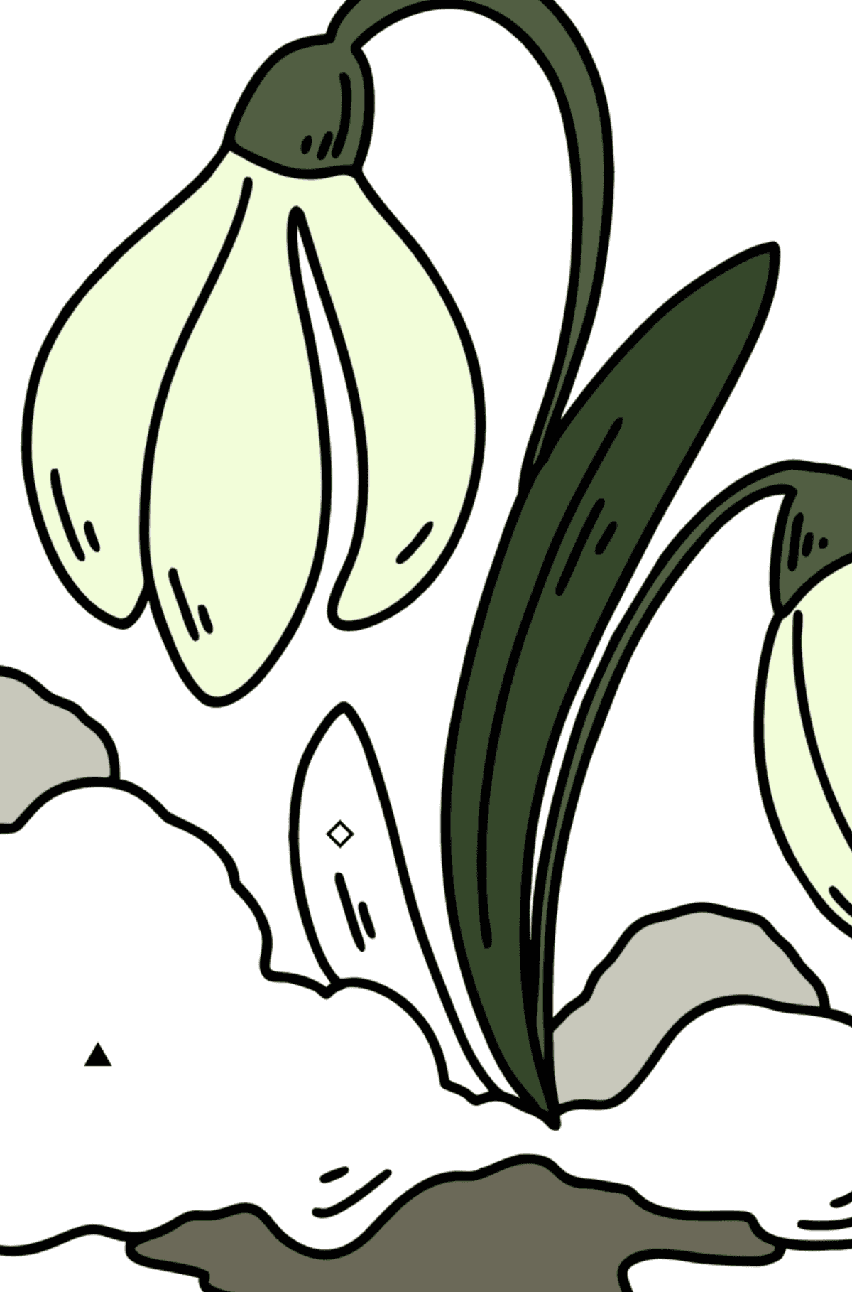 Spring Snowdrops coloring page - Coloring by Symbols for Kids