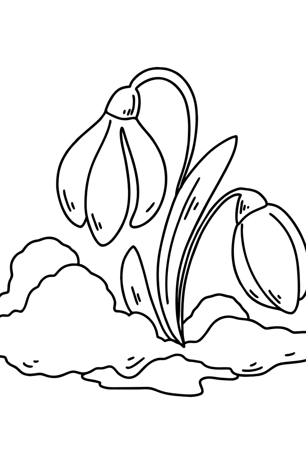 Spring Snowdrops coloring page ♥ Online and Print for Free!