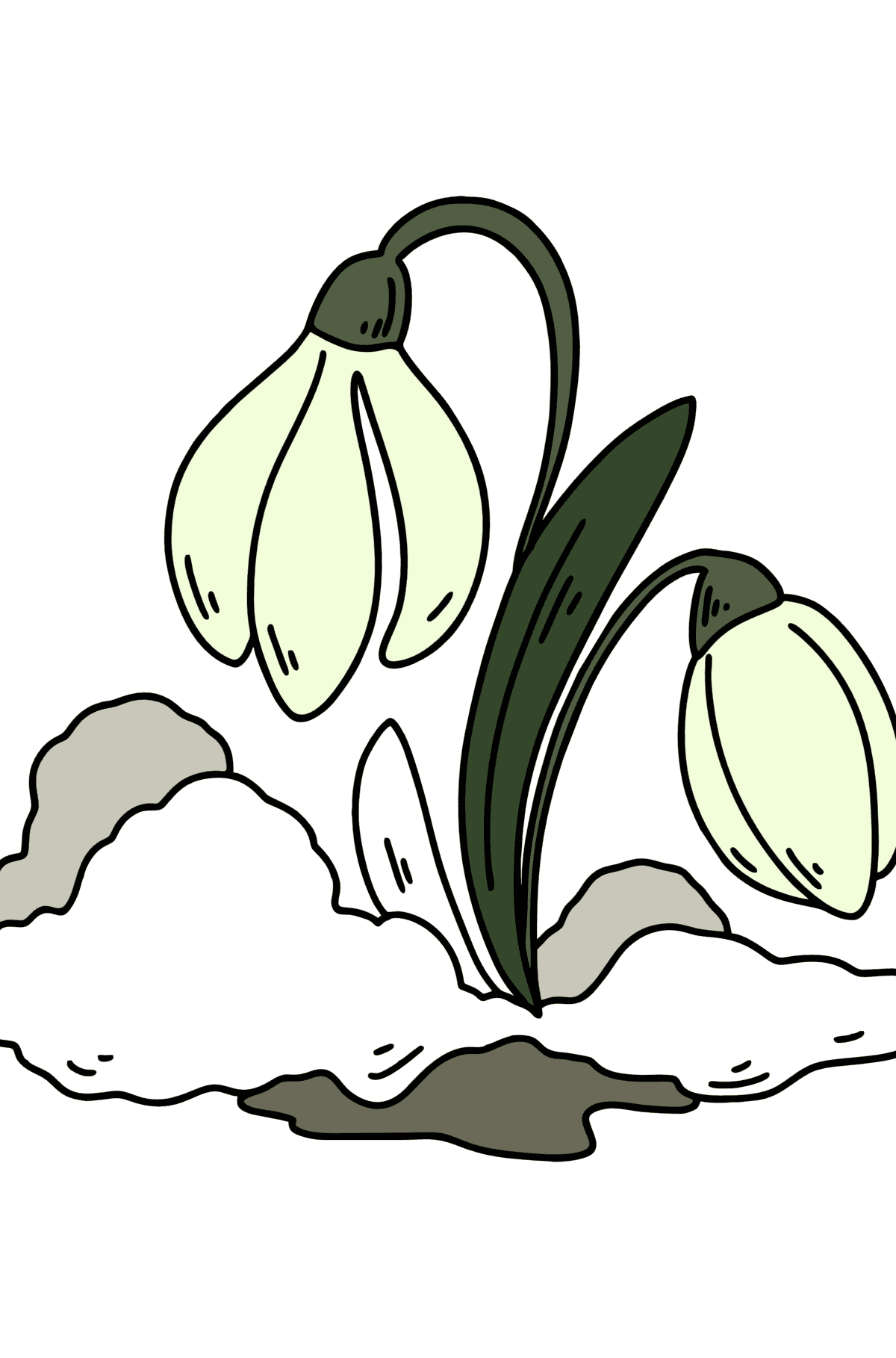 Spring Snowdrops coloring page - Coloring Pages for Kids