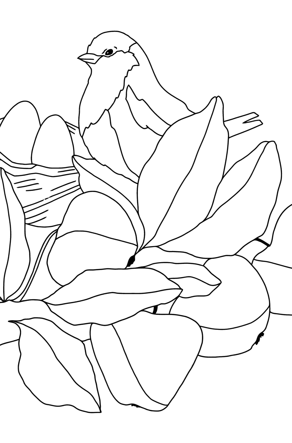 printable nature coloring pages for kids cool2bkids easy coloring