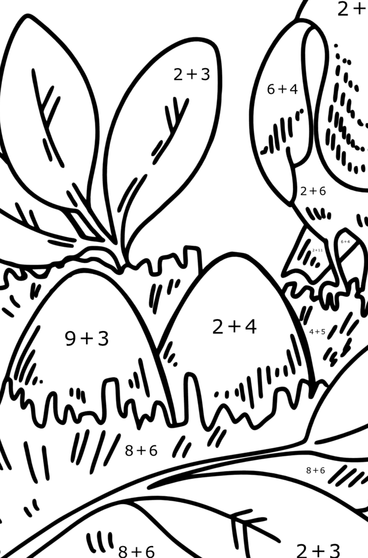 Coloring page - Thrush Nest - Math Coloring - Addition for Kids
