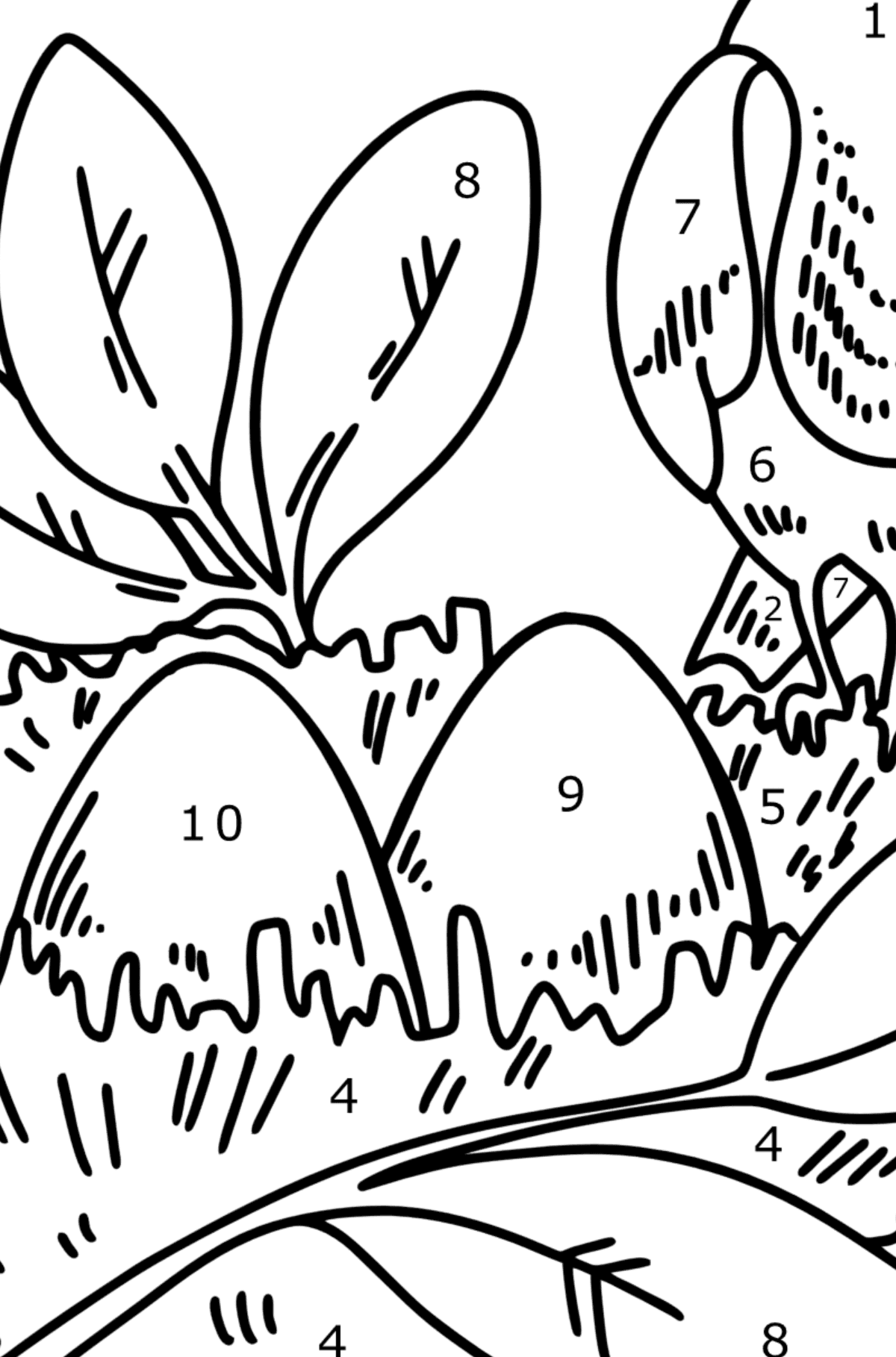 Coloring page - Thrush Nest - Coloring by Numbers for Kids