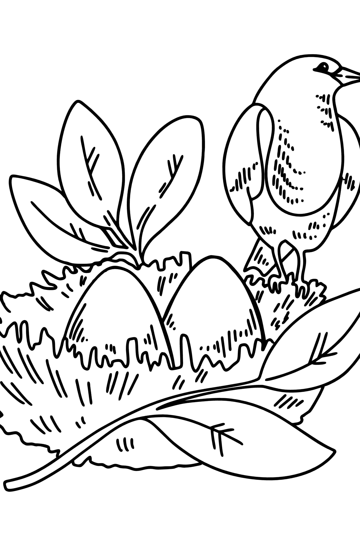 Розмальовка - гніздо дрозда - Розмальовки для дітей